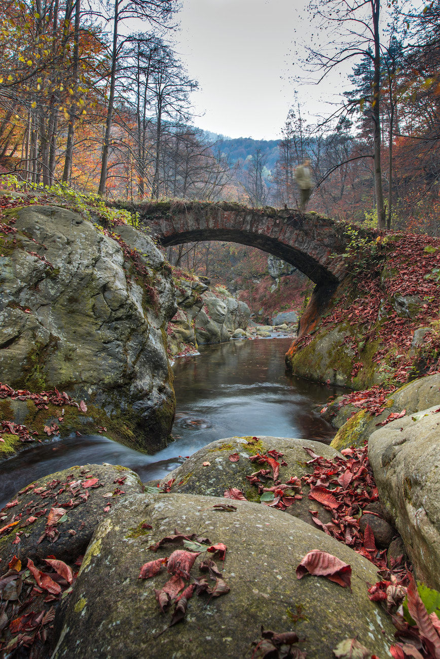 Nikon D800 + Sigma 24-105mm F4 DG OS HSM Art sample photo. Gran dubbione river photography