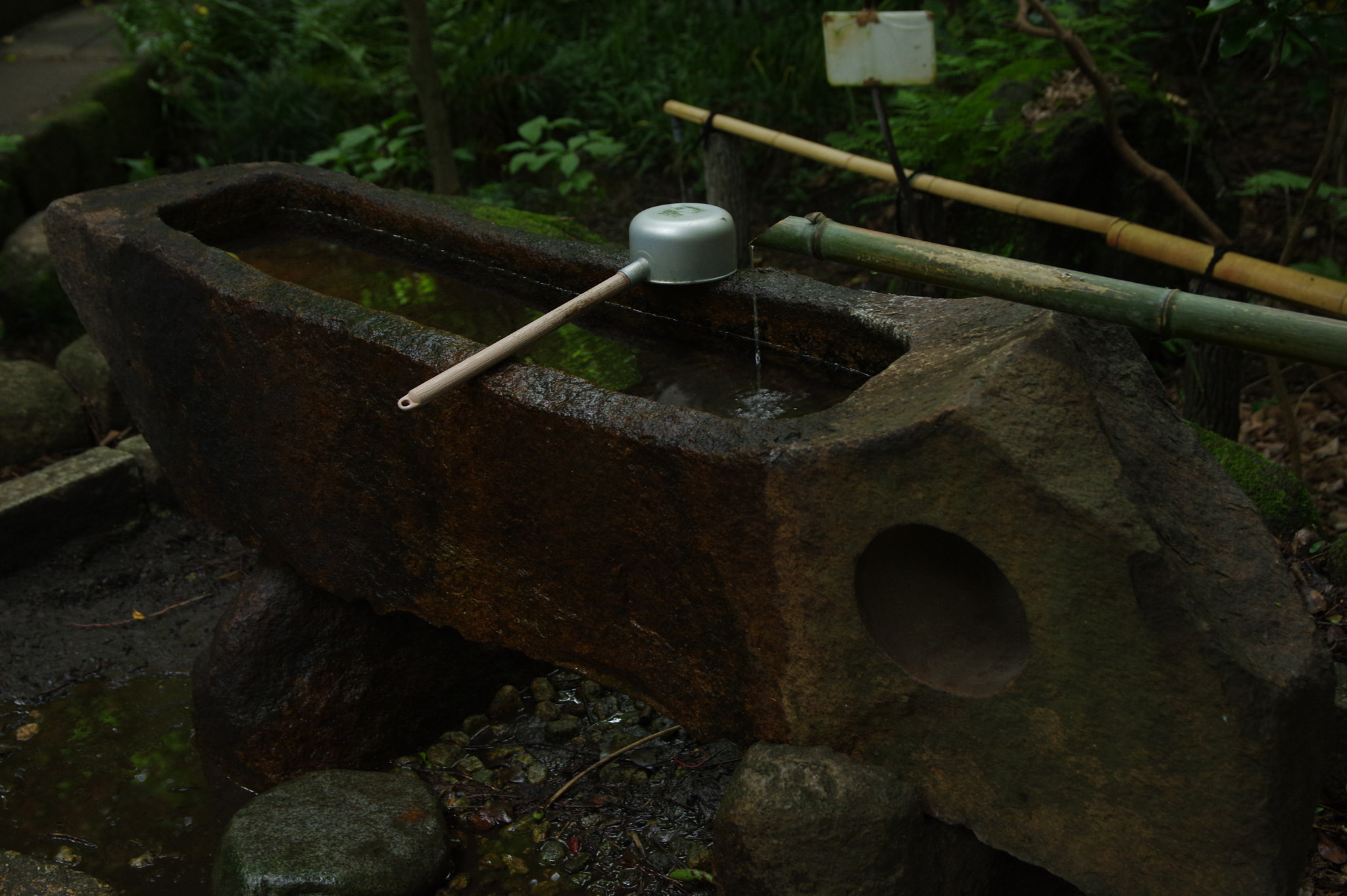Sigma 17-50mm F2.8 EX DC HSM sample photo
