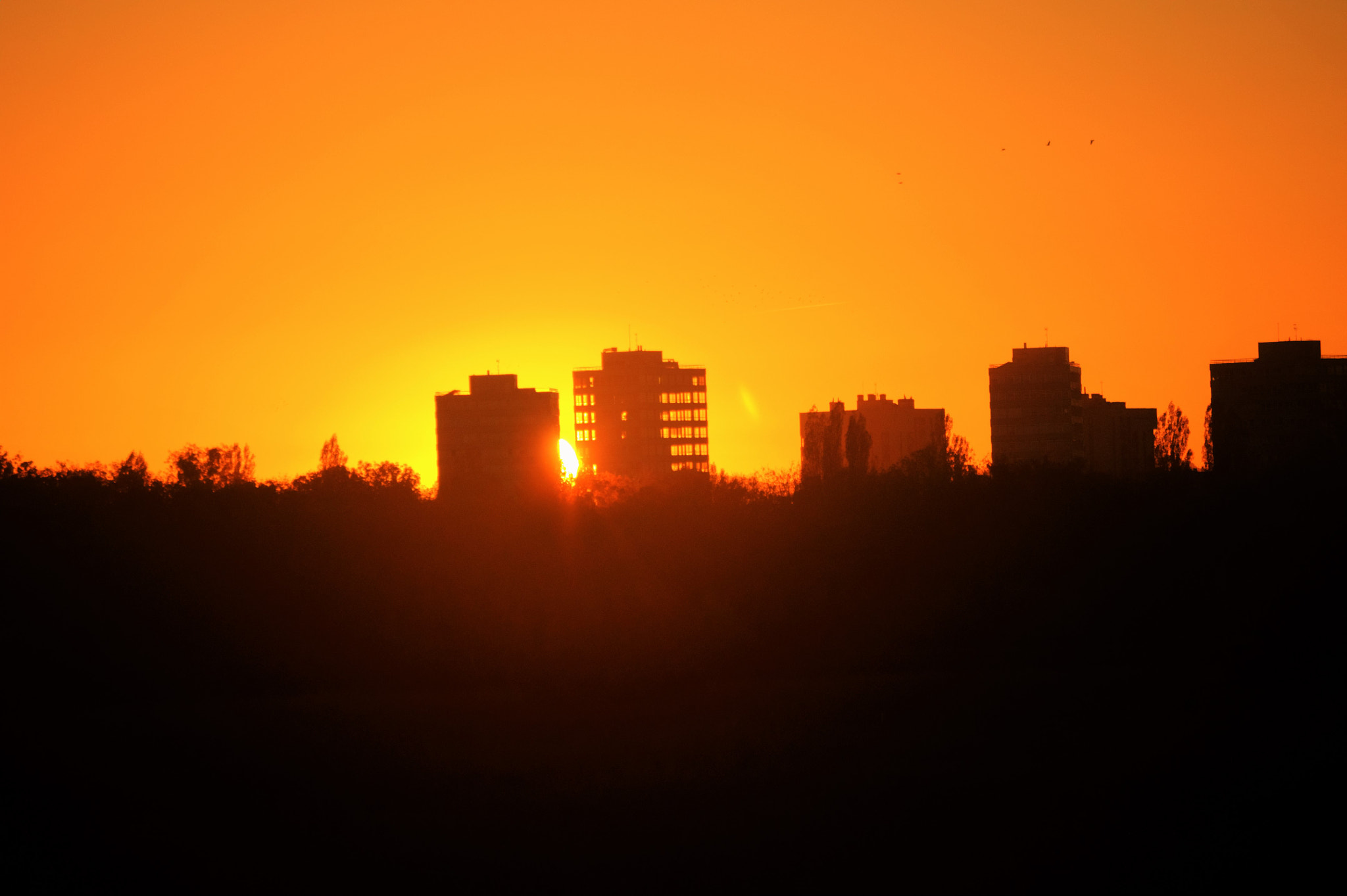 Nikon D5000 sample photo. Gasteiz on fire. photography