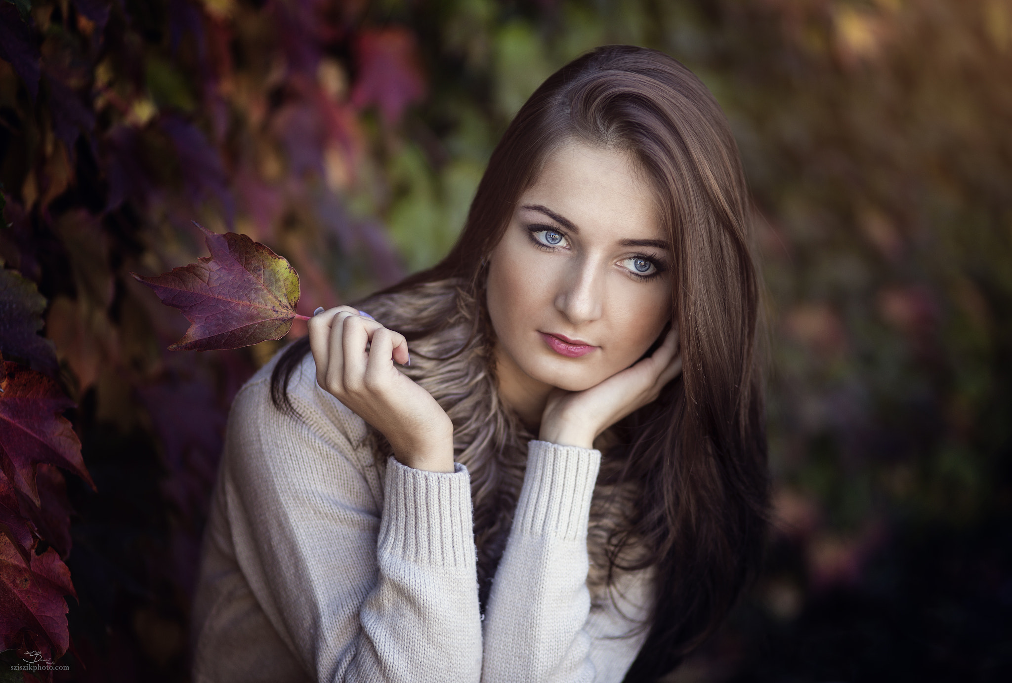 Canon EOS 6D + Canon EF 100mm F2.0 USM sample photo. Img photography