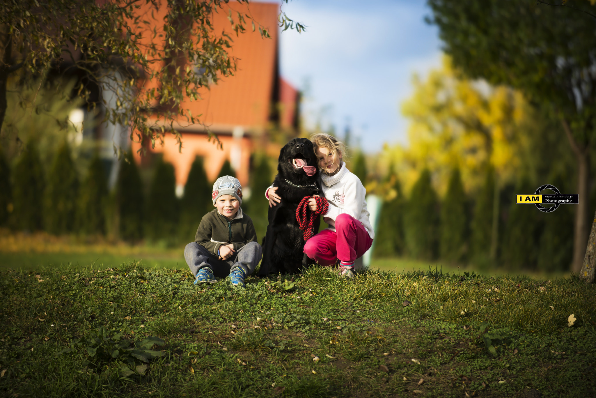 Nikon D600 sample photo. This friendship for a lifetime from a dog's true. photography