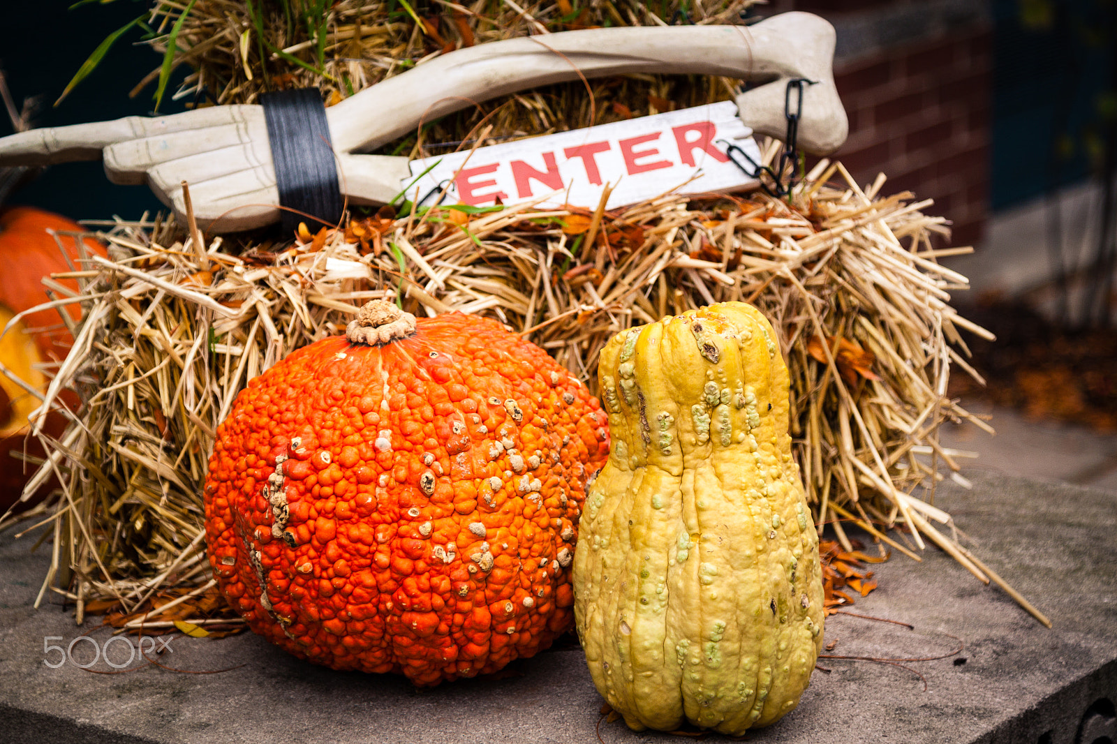 Canon EOS 500D (EOS Rebel T1i / EOS Kiss X3) sample photo. Halloween and fall photography