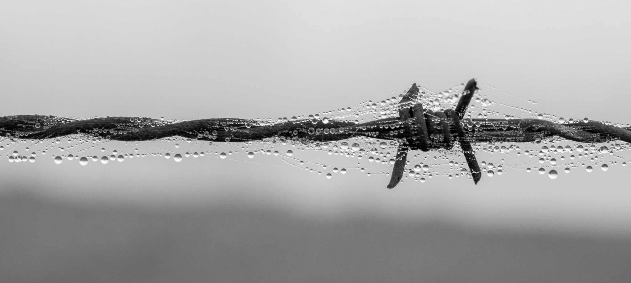 Panasonic Lumix DMC-GF1 sample photo. Herst langs de maas photography