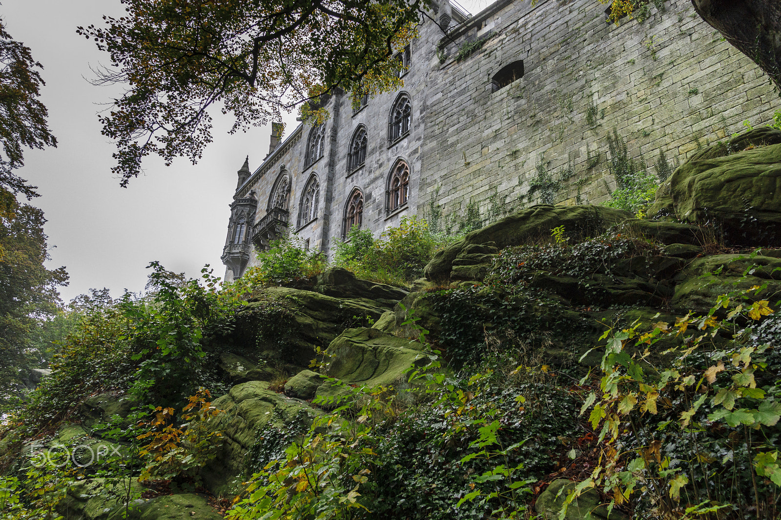 Sony DT 16-105mm F3.5-5.6 sample photo. Castle bad bentheim_germany photography