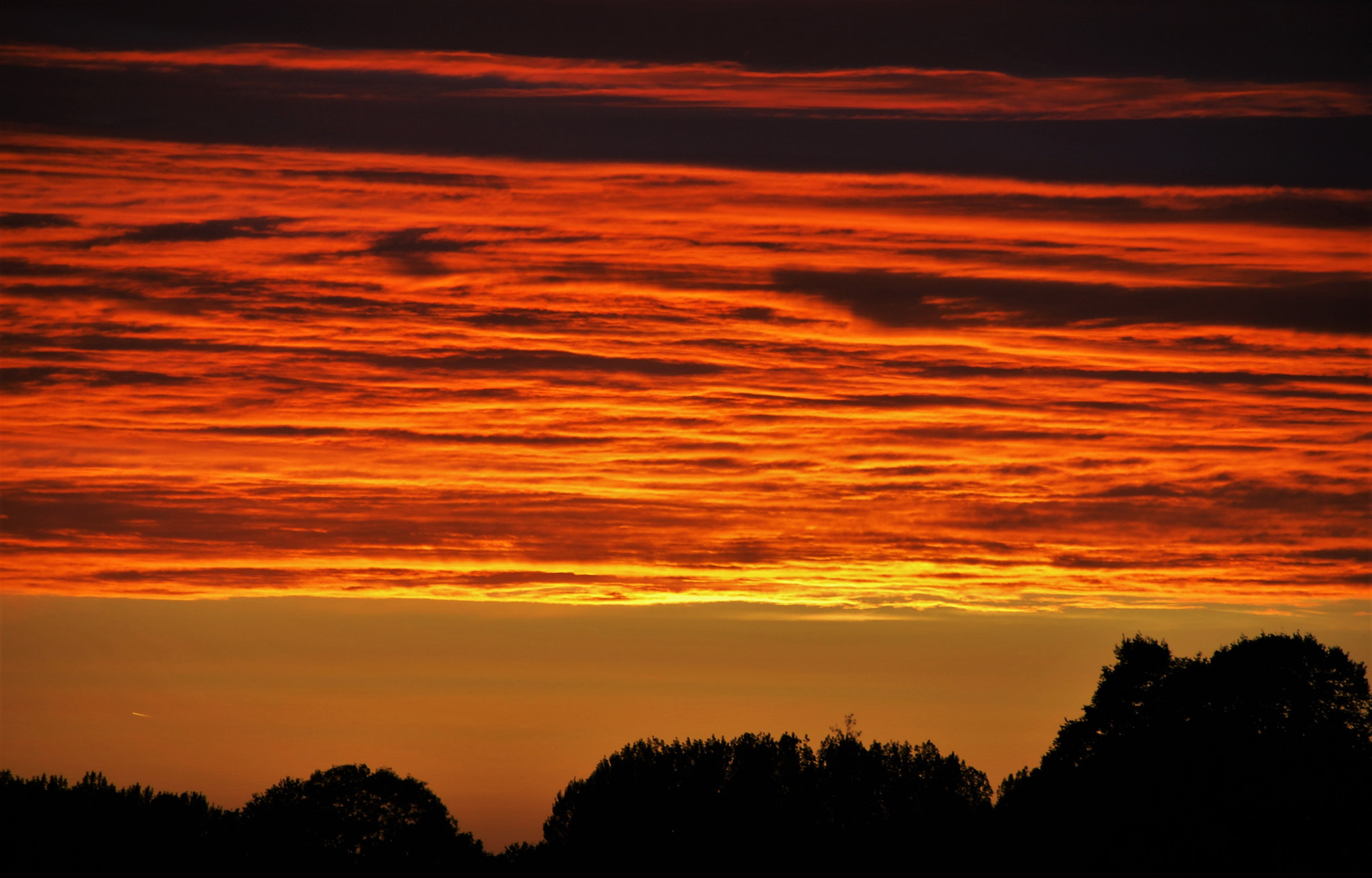 Nikon D60 sample photo. Golden blanket photography