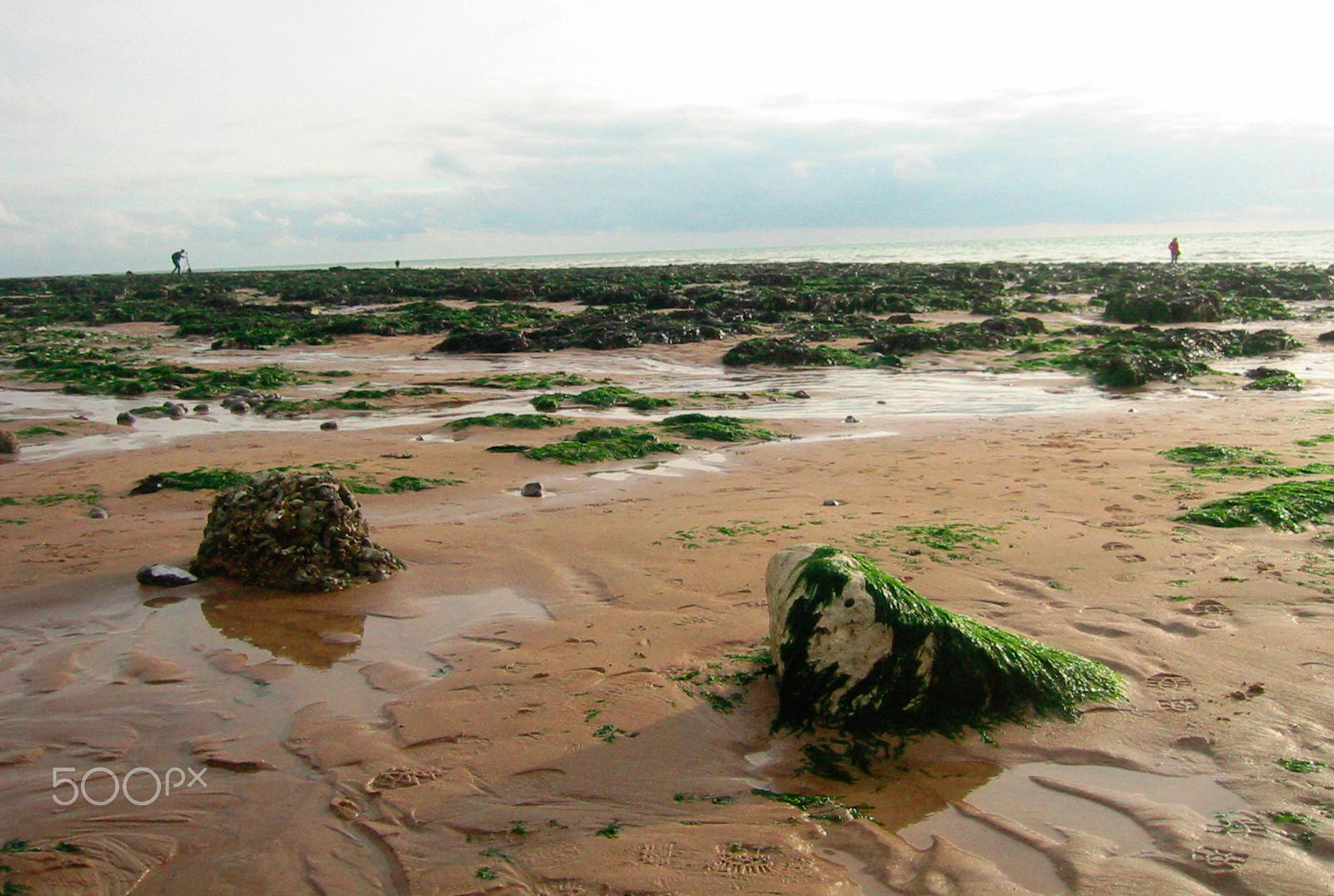 Canon PowerShot S200 sample photo. Low tide at birling gap photography