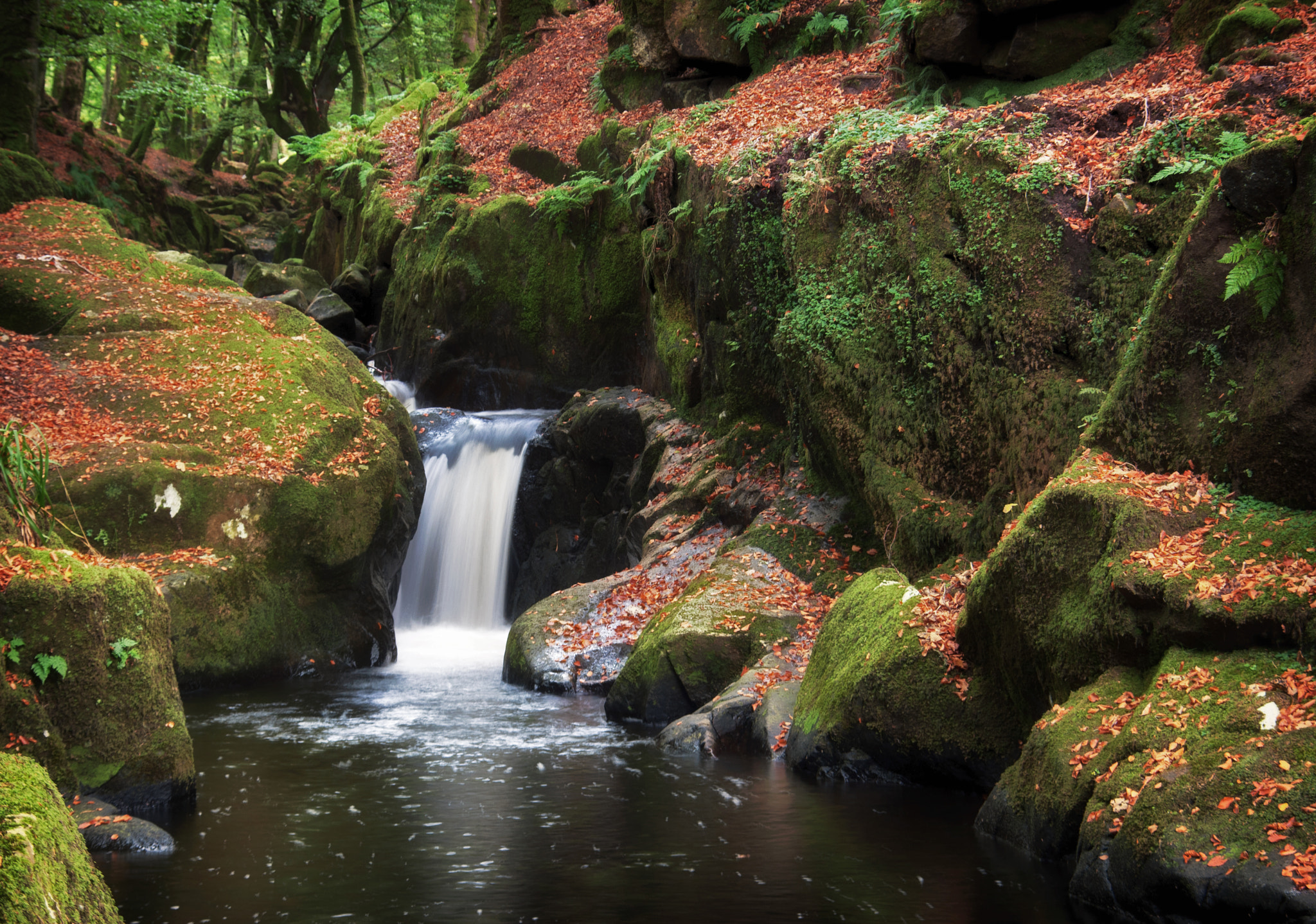 Nikon D60 + Sigma 18-200mm F3.5-6.3 DC OS HSM sample photo. Cloughleagh river, manor kilbride, wicklow. photography
