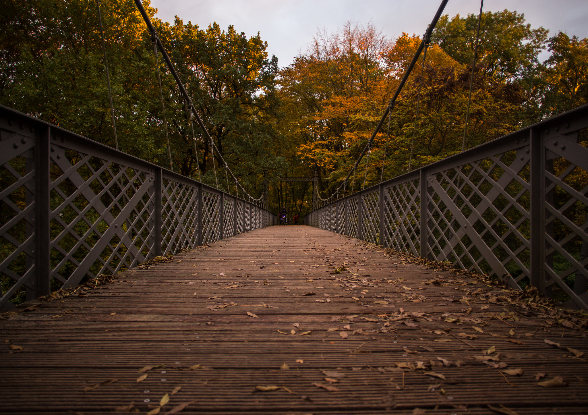 Canon EOS 6D + Canon EF 20mm F2.8 USM sample photo. Halle photography