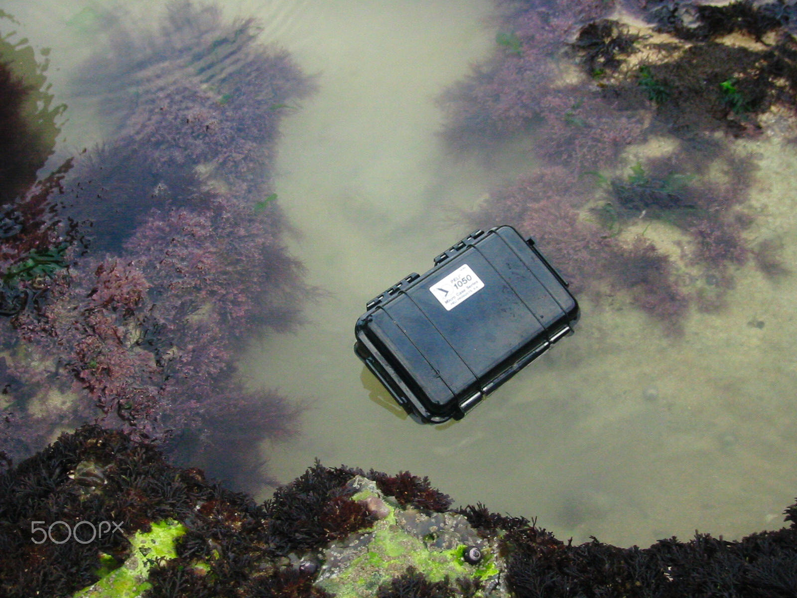 Canon PowerShot S200 sample photo. Rock pool treasure chest photography