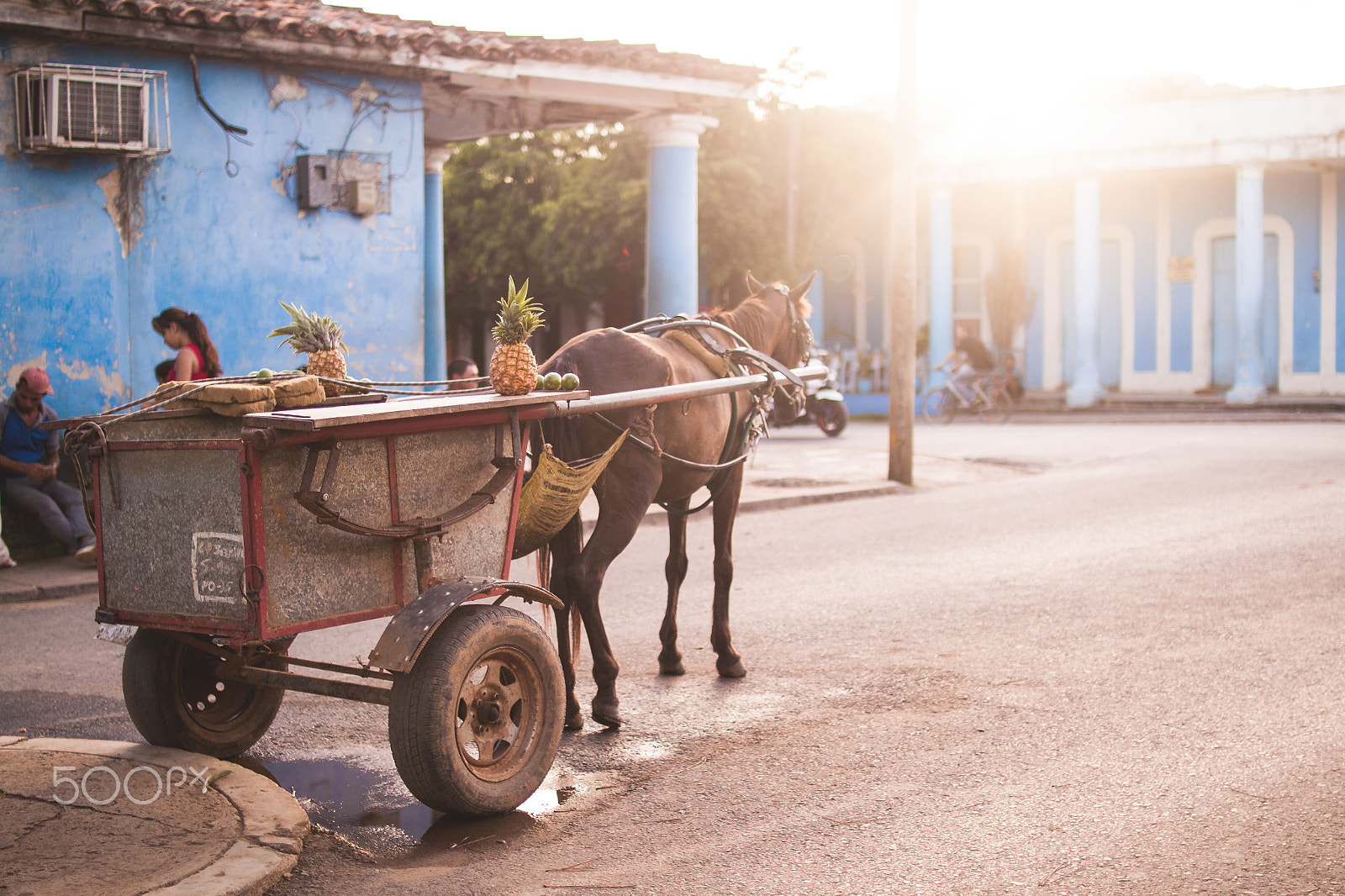 Sigma 30mm F1.4 EX DC HSM sample photo. Horse and cart photography