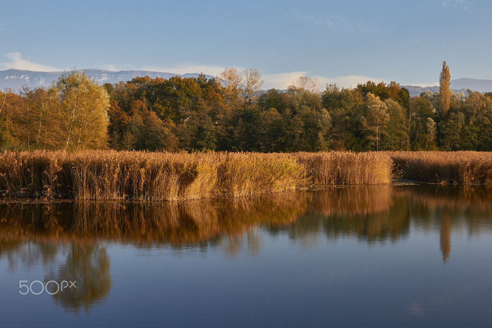 Canon EOS 7D sample photo. Autumn on ponds crosagny photography