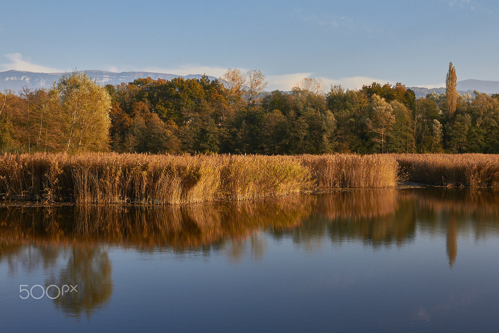 Sigma 24-70mm F2.8 EX DG HSM sample photo. Autumn on ponds crosagny photography