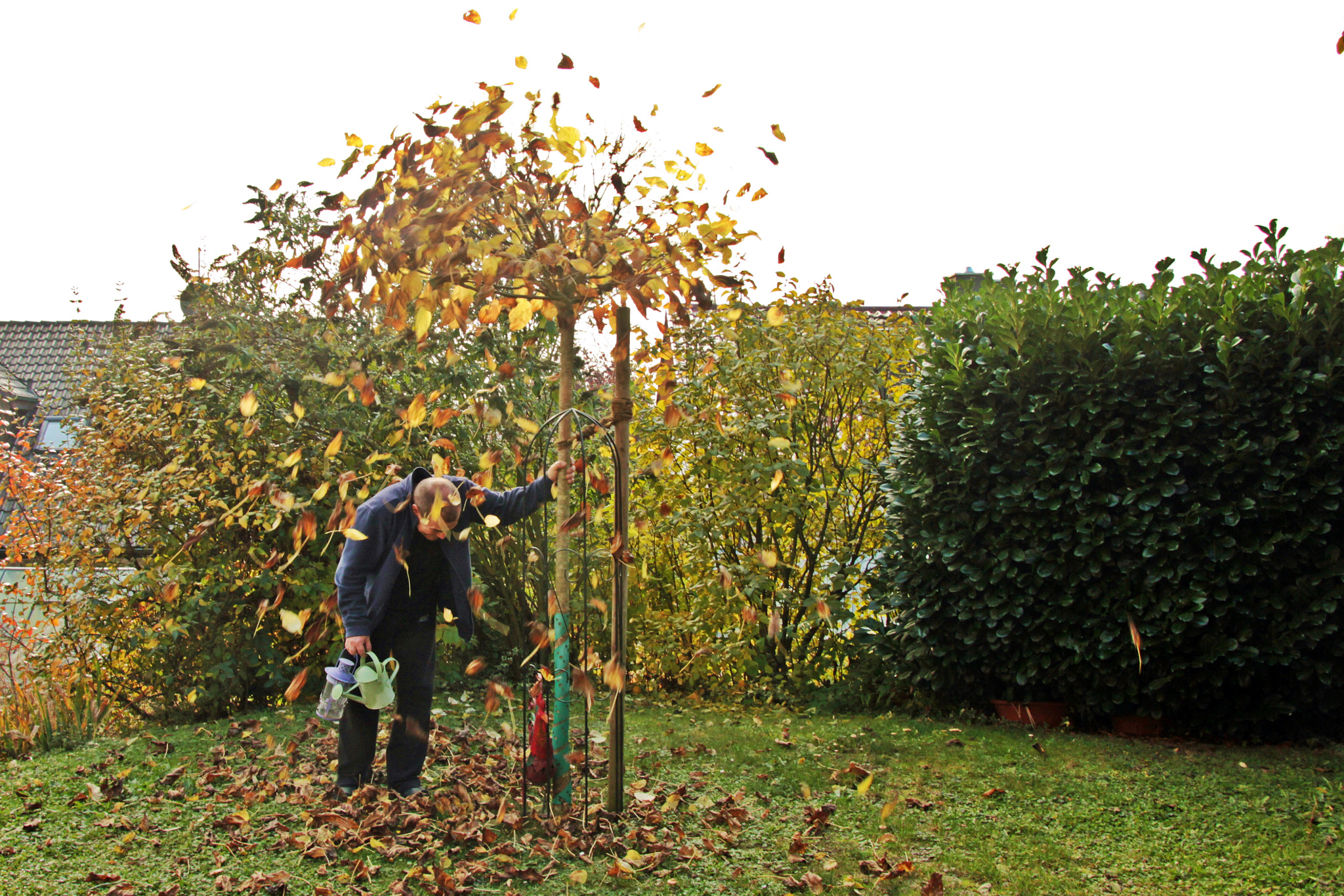 Canon EOS 60D sample photo. Garten ist jetzt winterfest photography