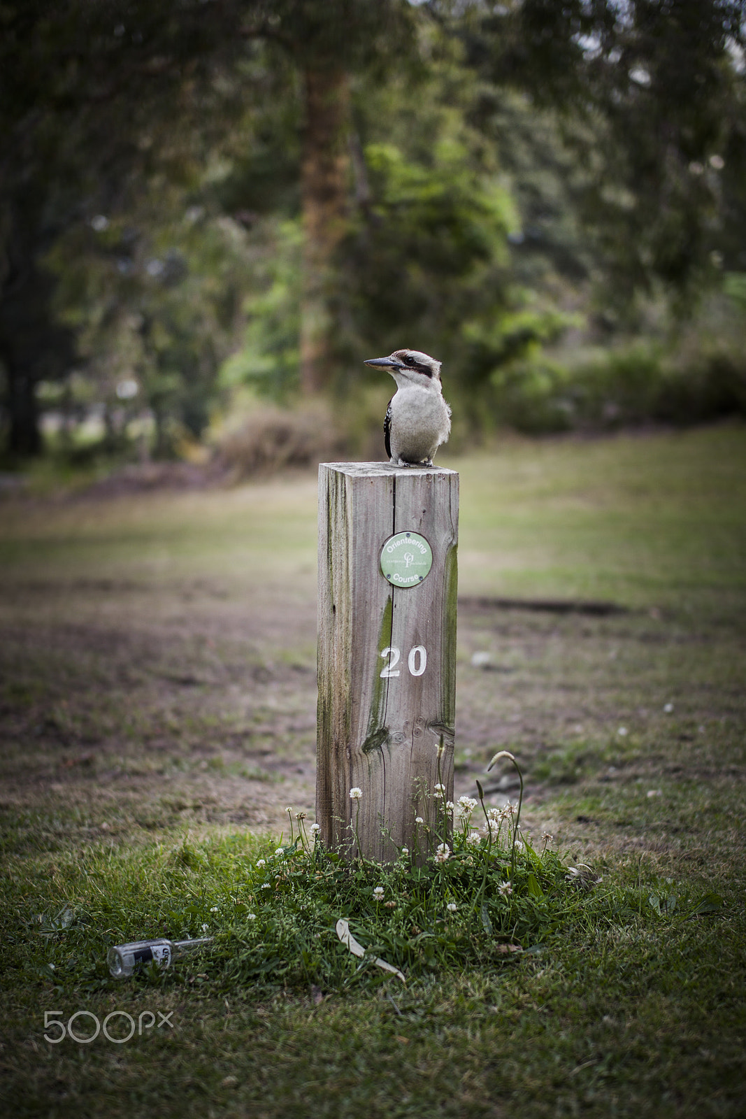 Leica M9 + Leica Summilux-M 50mm F1.4 ASPH sample photo. L photography