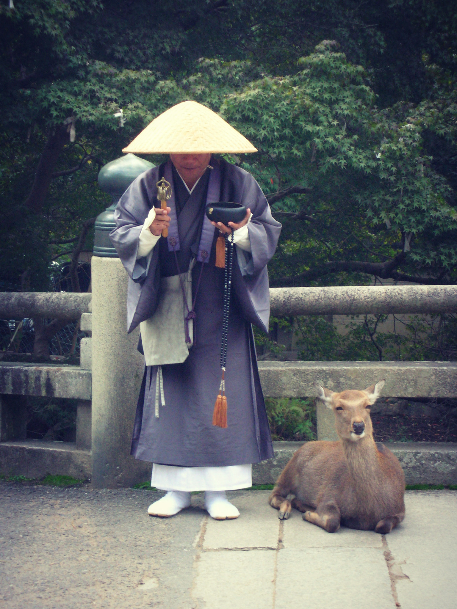 Nikon S1 sample photo. The monk & the deer photography