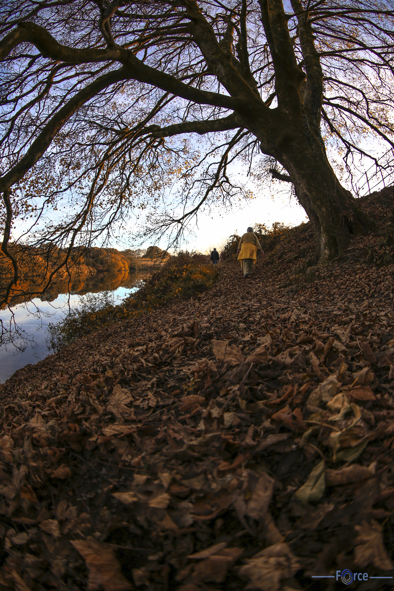 Canon EOS 6D + Canon EF 8-15mm F4L Fisheye USM sample photo. Walk at sunset photography