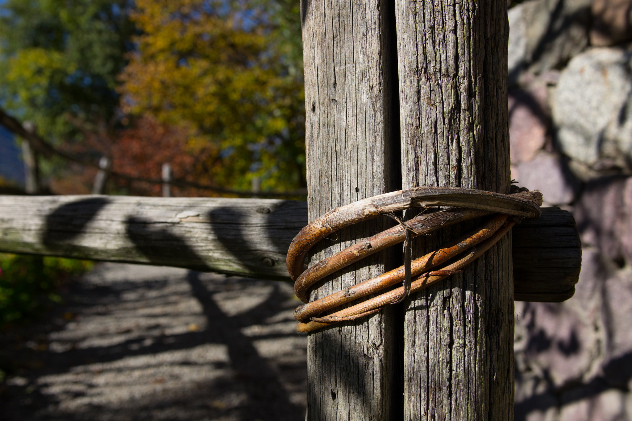 Nikon AF-S Nikkor 28-70mm F2.8 ED-IF sample photo. Knot photography