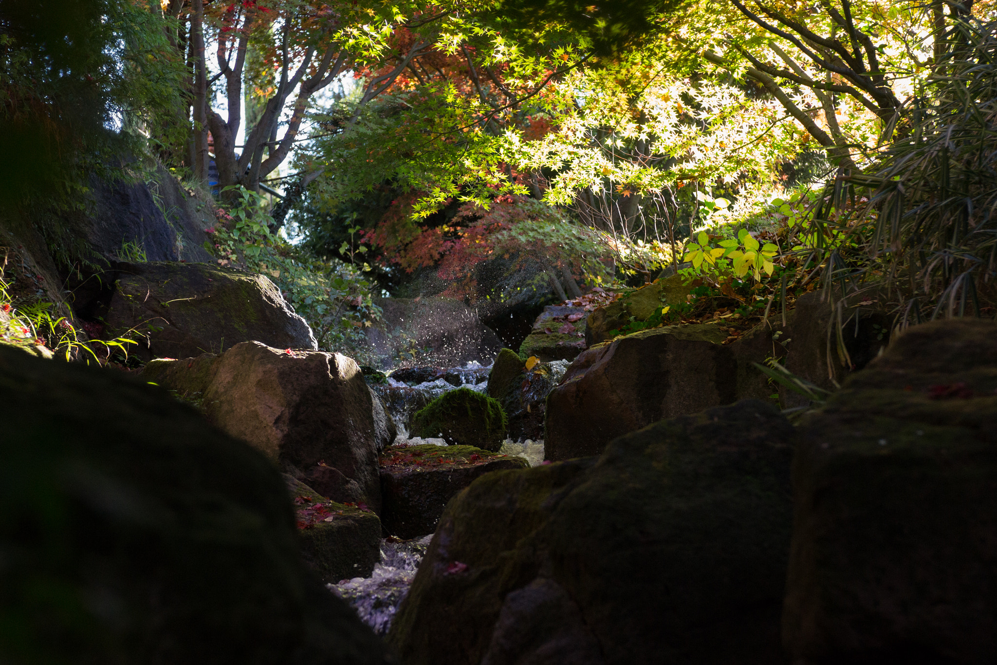 Nikon AF-S Nikkor 28-70mm F2.8 ED-IF sample photo. Creek photography