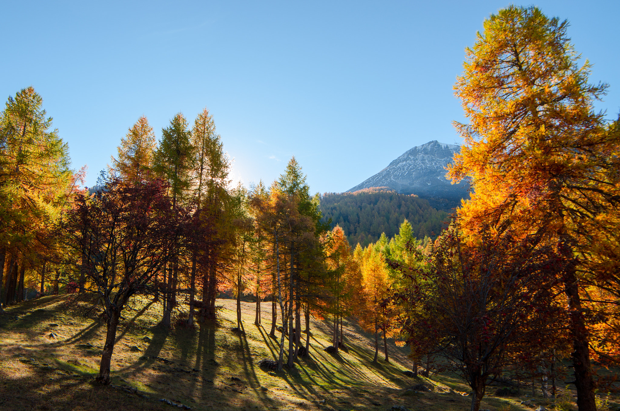 Samyang 14mm F2.8 ED AS IF UMC sample photo. Autumn  photography
