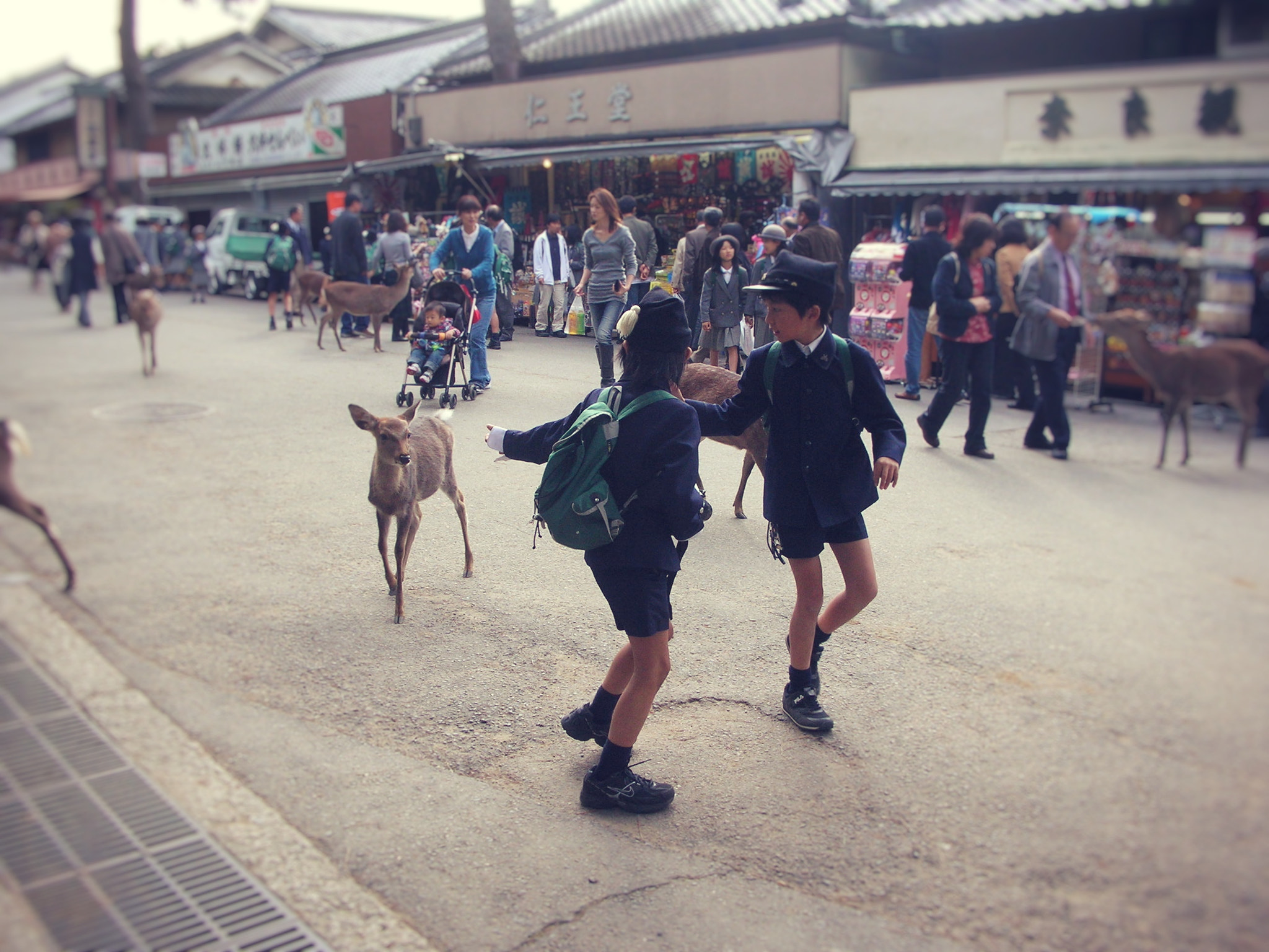 Nikon S1 sample photo. The kids & the deer photography