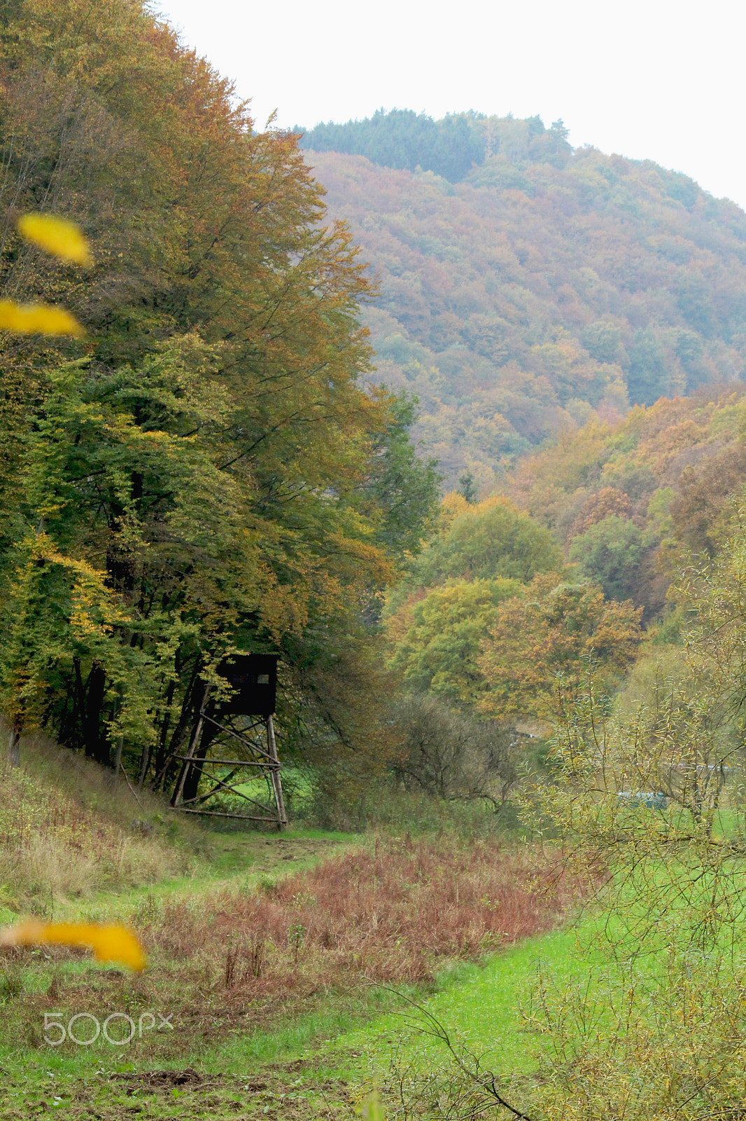 Canon EF-S 55-250mm F4-5.6 IS sample photo. Firespotting hut under the trees photography