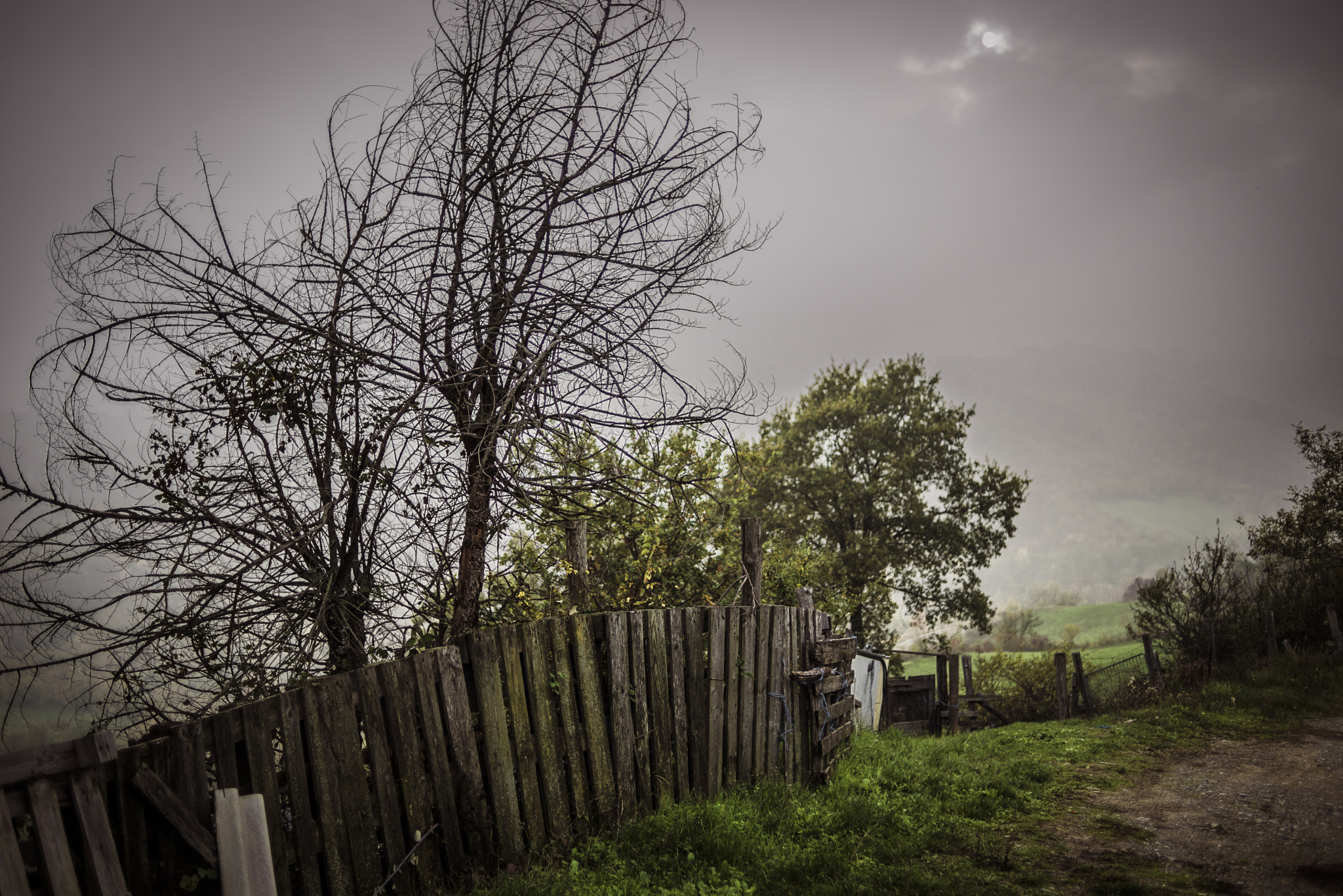 Nikon D610 + Nikon AF Nikkor 35mm F2D sample photo. Human borders photography