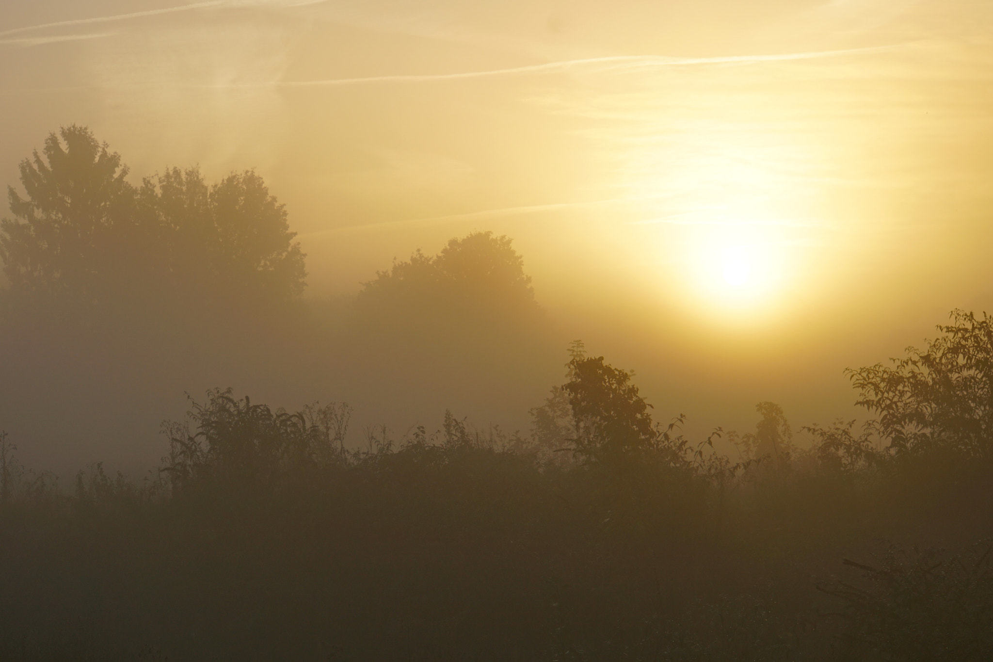 Sony FE 28-70mm F3.5-5.6 OSS sample photo. A misty morning photography