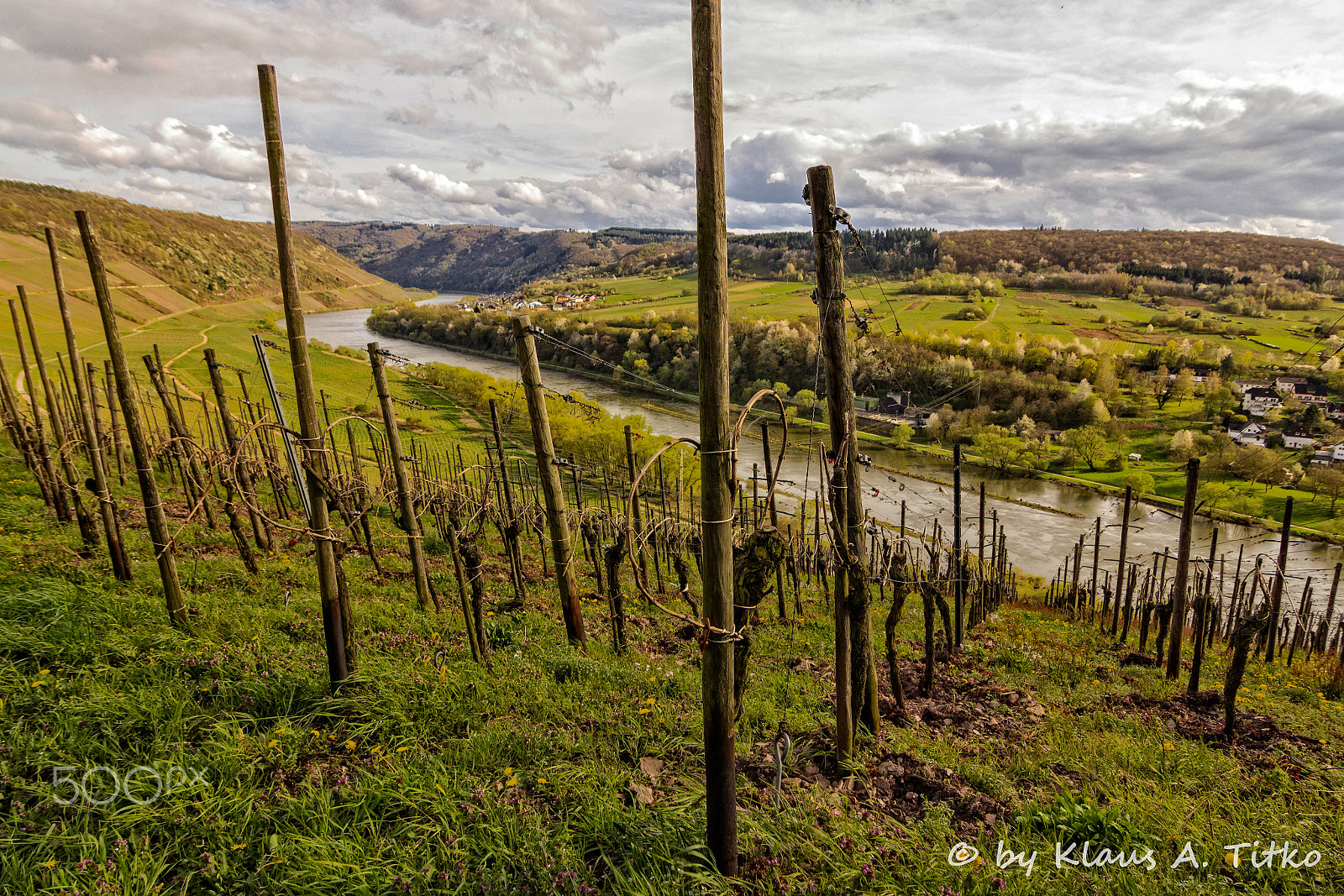 Tokina AT-X Pro 12-24mm F4 (IF) DX sample photo. Weinhänge am prinzenkopf (mosel) photography