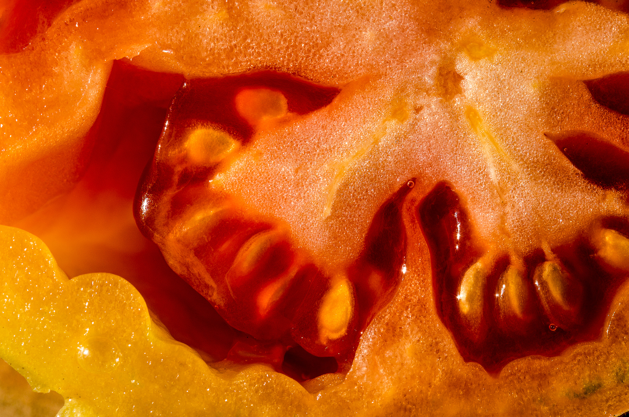Sigma 105mm F2.8 EX DG OS HSM sample photo. Tomate en graines photography