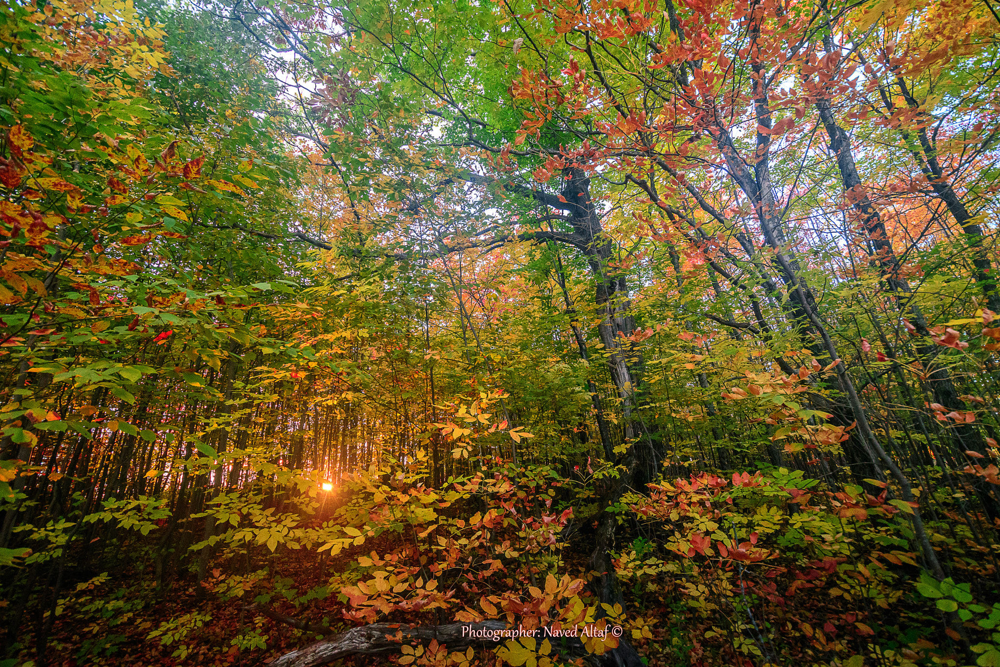 Nikon D500 sample photo. Autumn sunset! photography