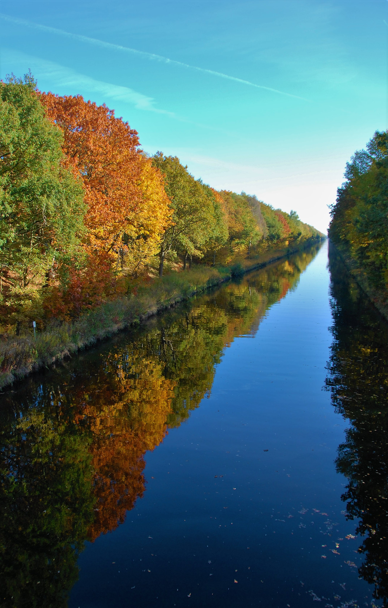 Nikon D60 sample photo. Autumn reflection lines photography