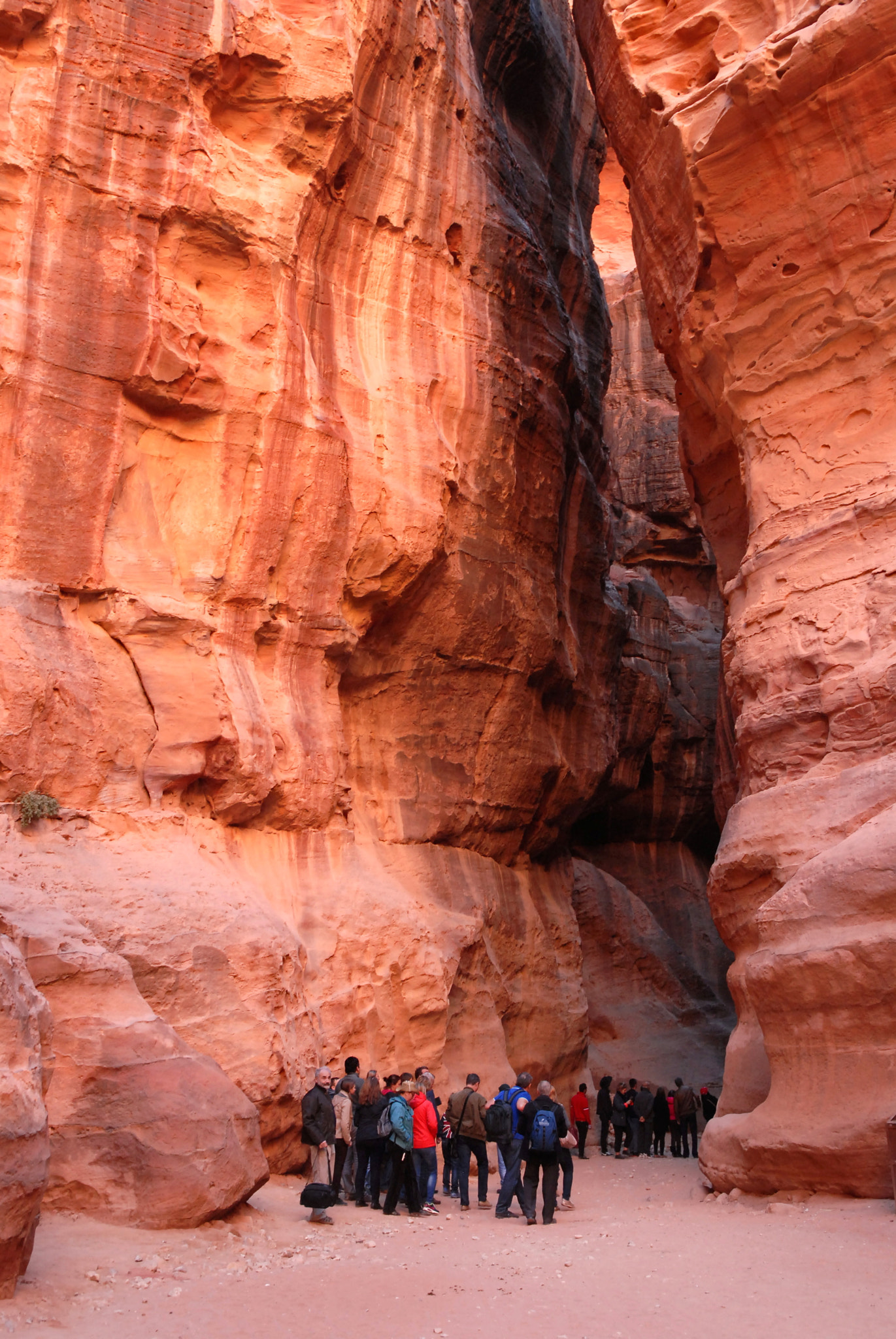 Nikon D200 sample photo. Jordan. the way to petra. photography