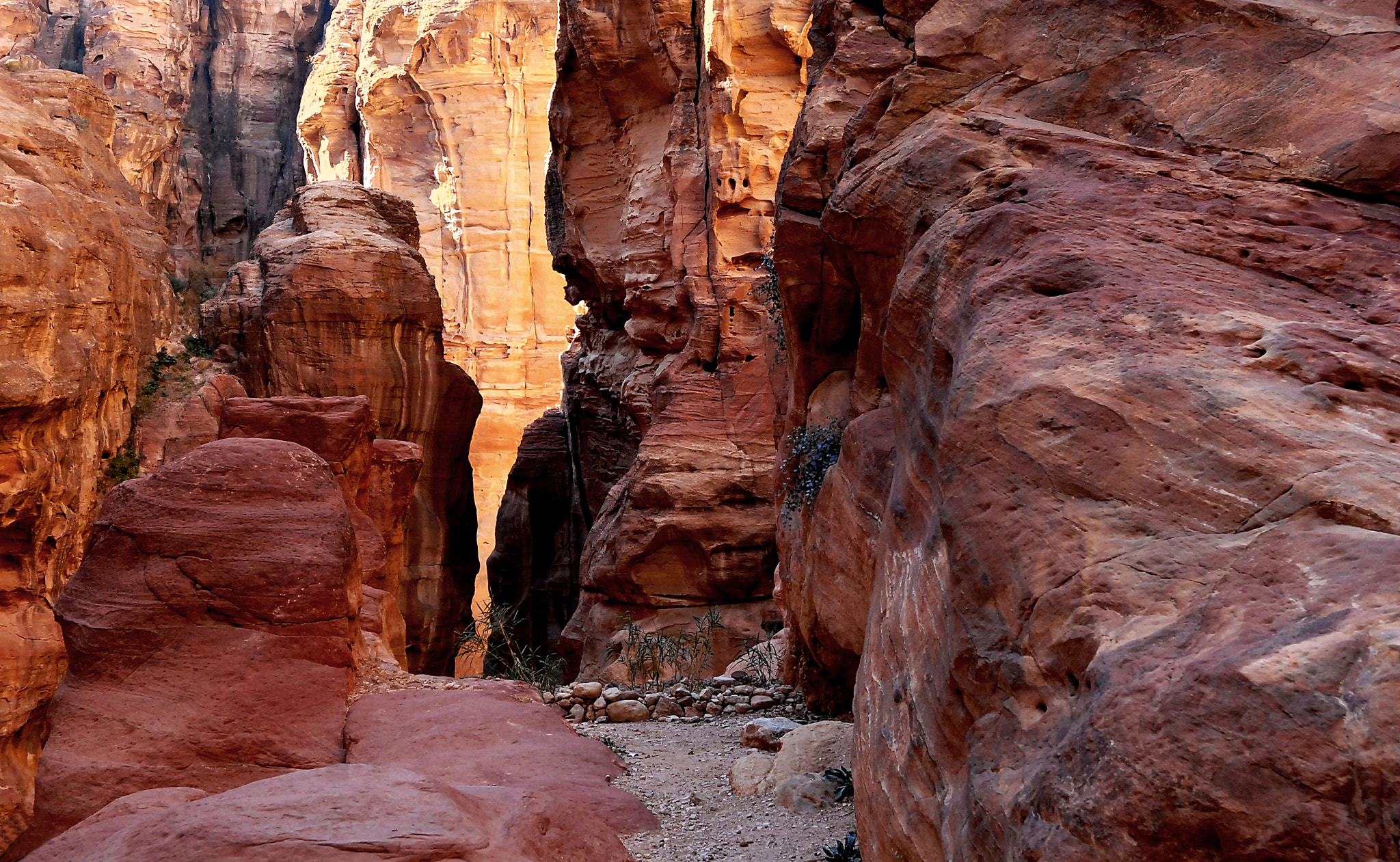 Nikon D200 sample photo. Jordan. the way to petra. photography