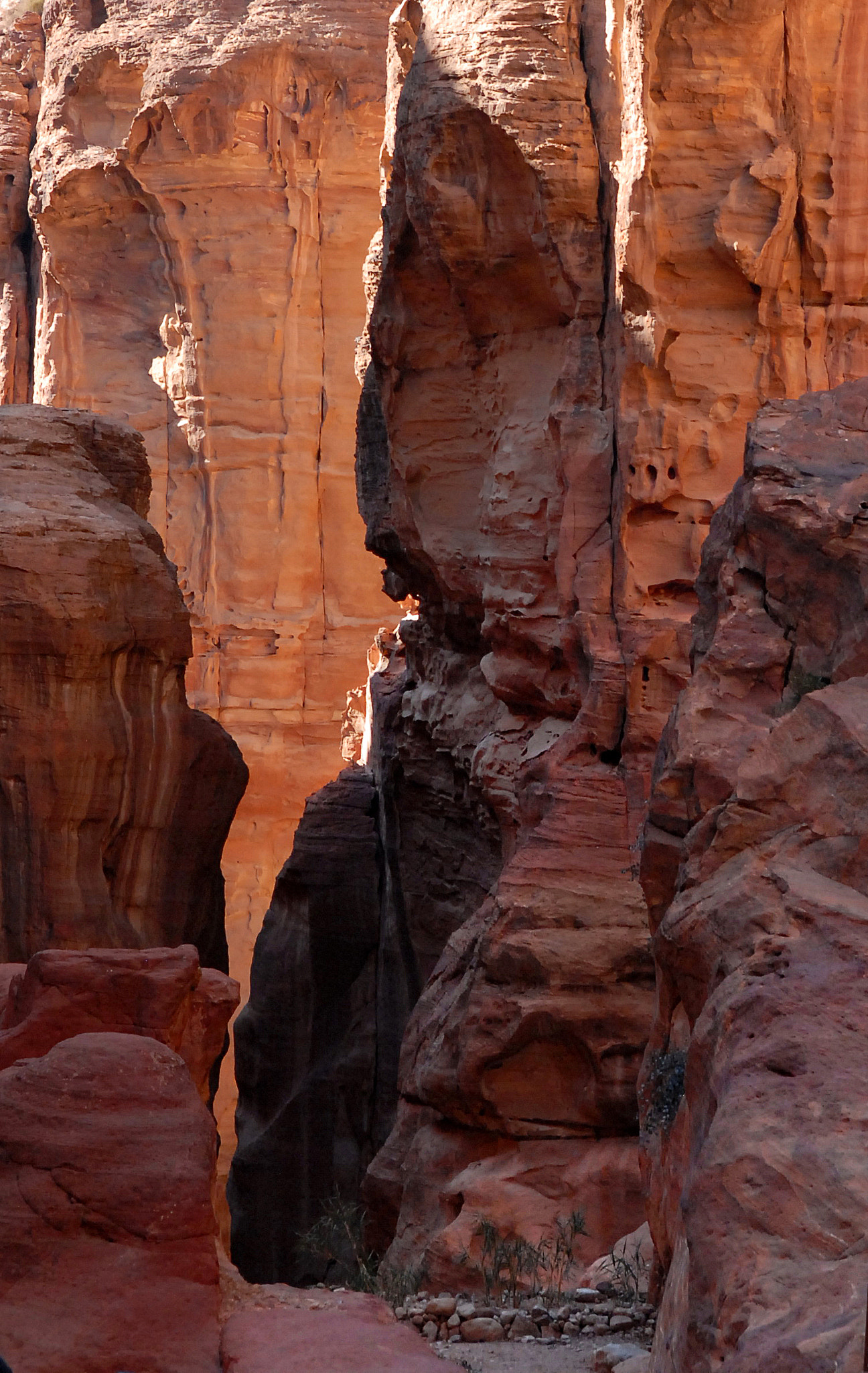 Nikon D200 sample photo. Jordan. the way to petra. photography