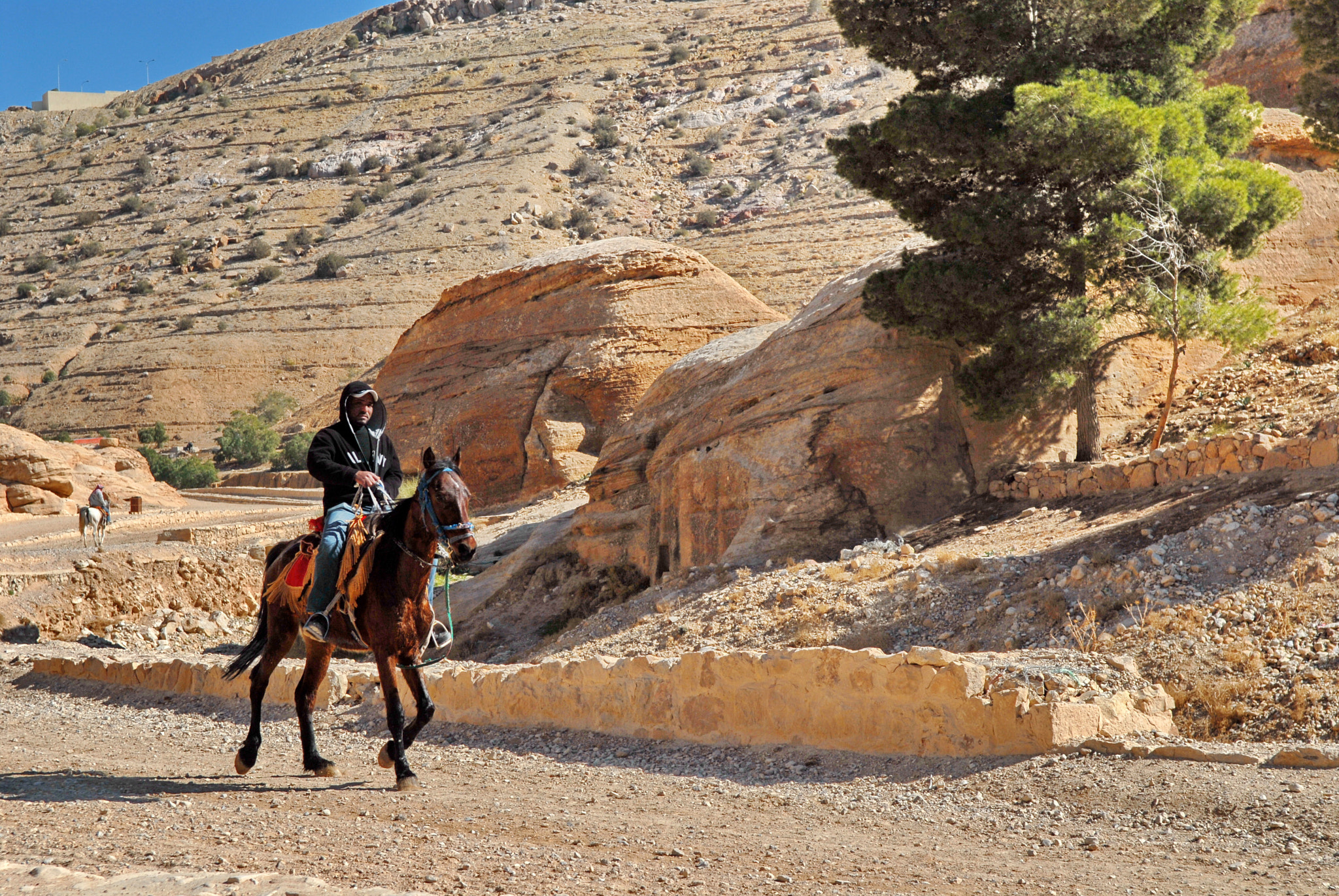 Nikon D200 sample photo. Jordan. the way to petra. photography