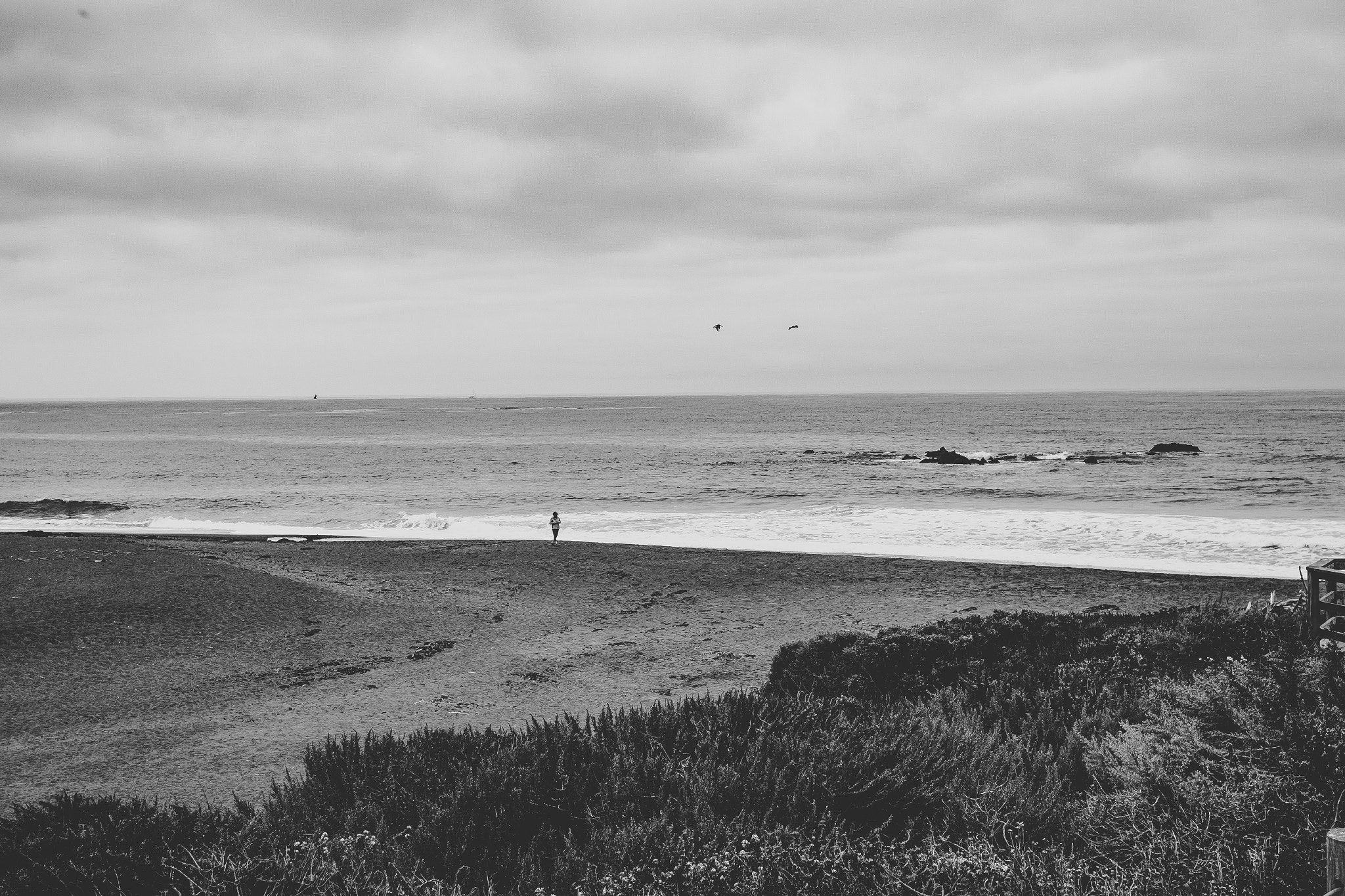 Sigma 30mm F1.4 EX DC HSM sample photo. B&w beach photography