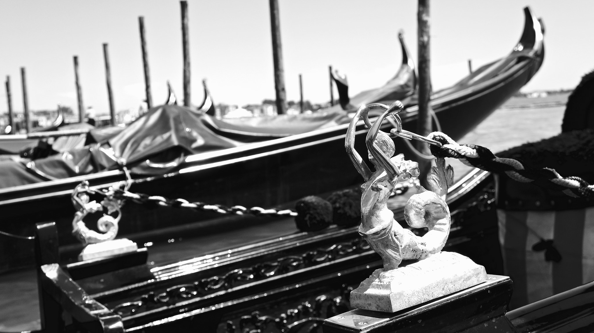 Sony Alpha NEX-5 sample photo. Metal mermaids... photography