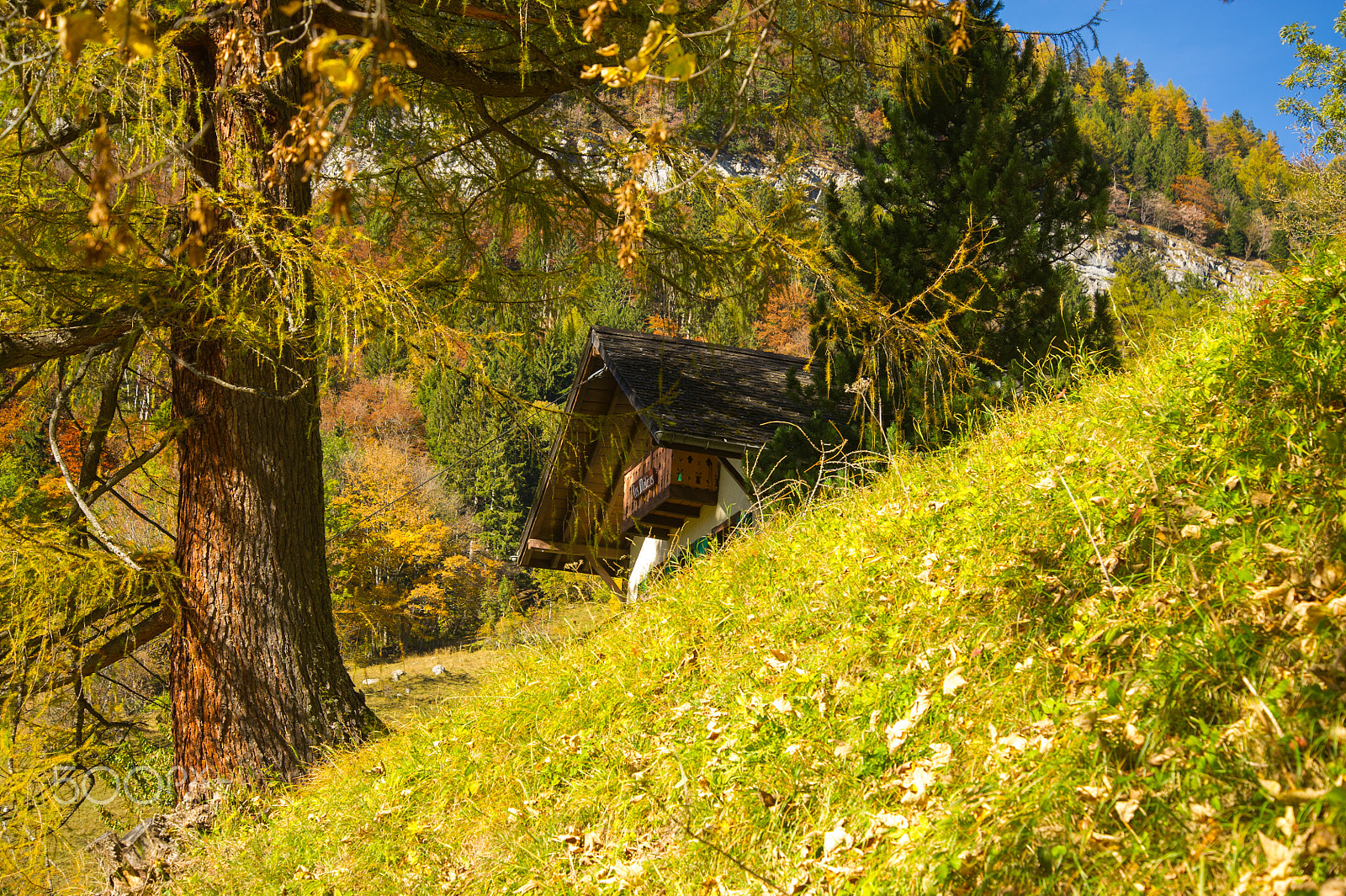 Nikon D3S sample photo. The lost chalet photography