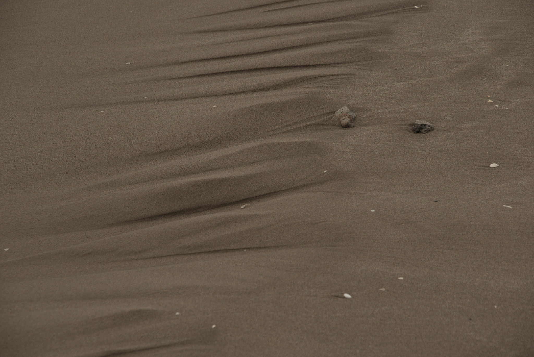Pentax K10D sample photo. Small dunes in sand photography