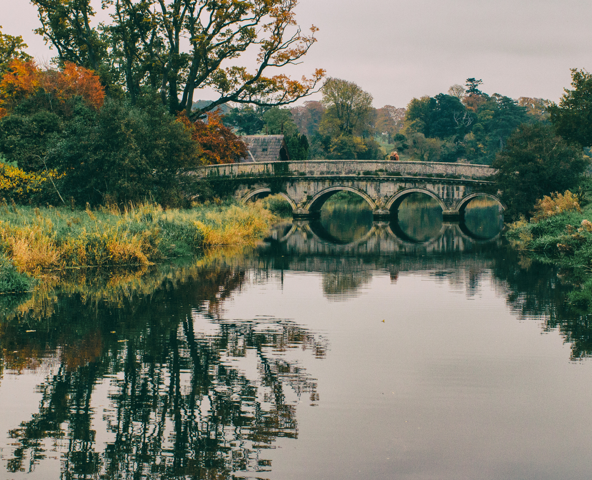 Canon EOS 70D + Canon EF 35mm F1.4L USM sample photo. Irish october story photography