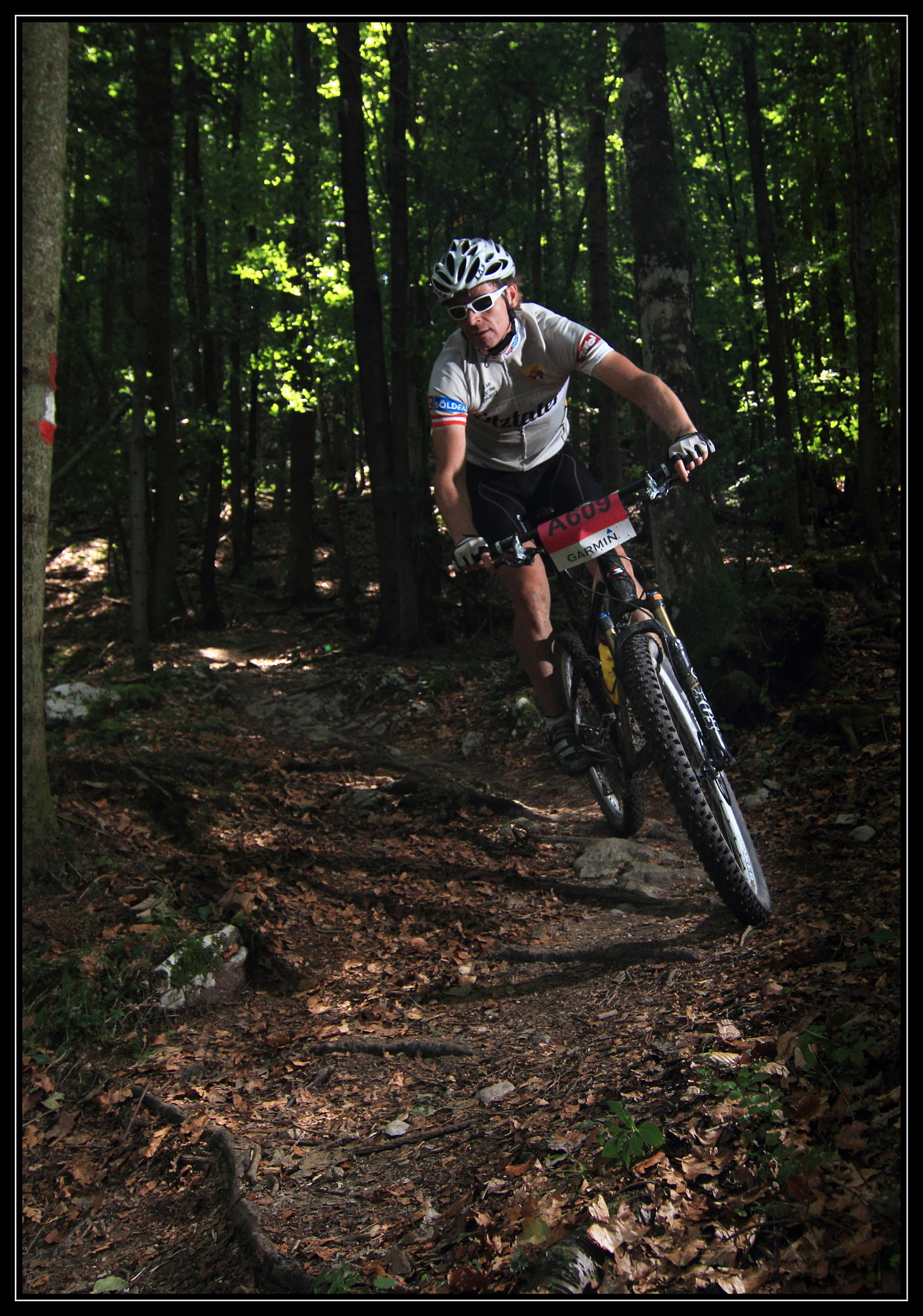 Tokina AT-X Pro 12-24mm F4 (IF) DX sample photo. Salzkammergut trophy - 07/2013 photography