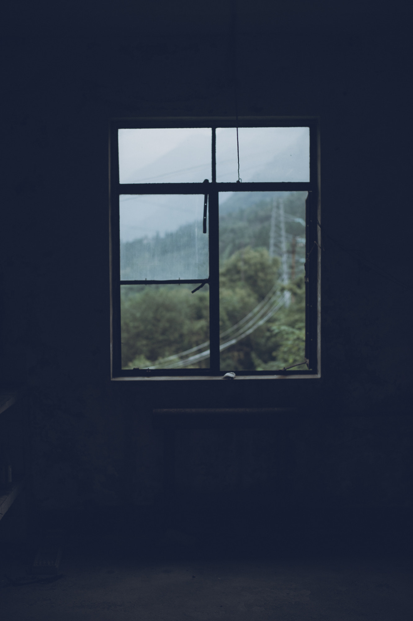 Nikon D4S + Nikon AF-S Nikkor 50mm F1.8G sample photo. The window（jangyou，china） photography