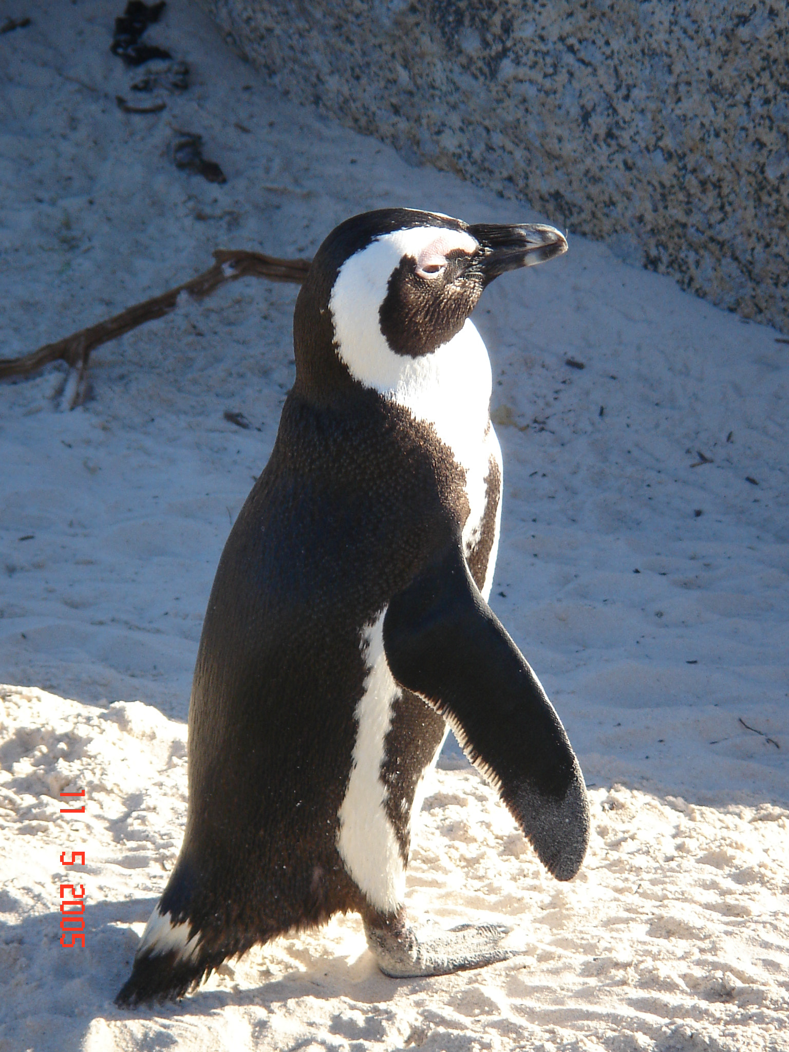 Sony DSC-T3 sample photo. Sudafrica () photography