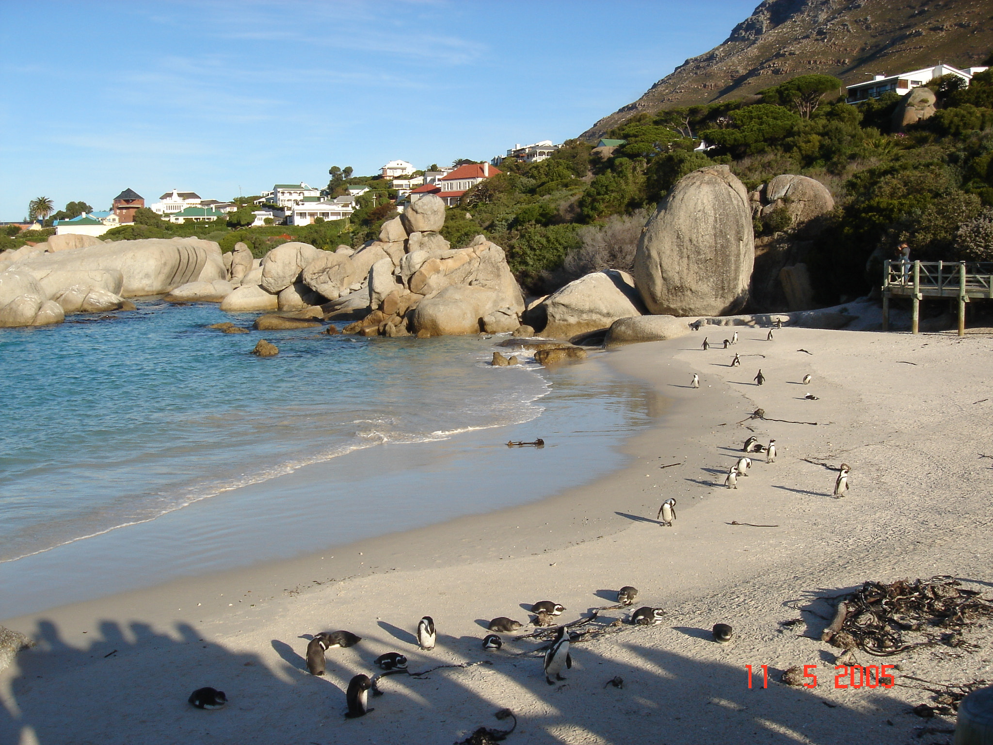 Sony DSC-T3 sample photo. Sudafrica () photography