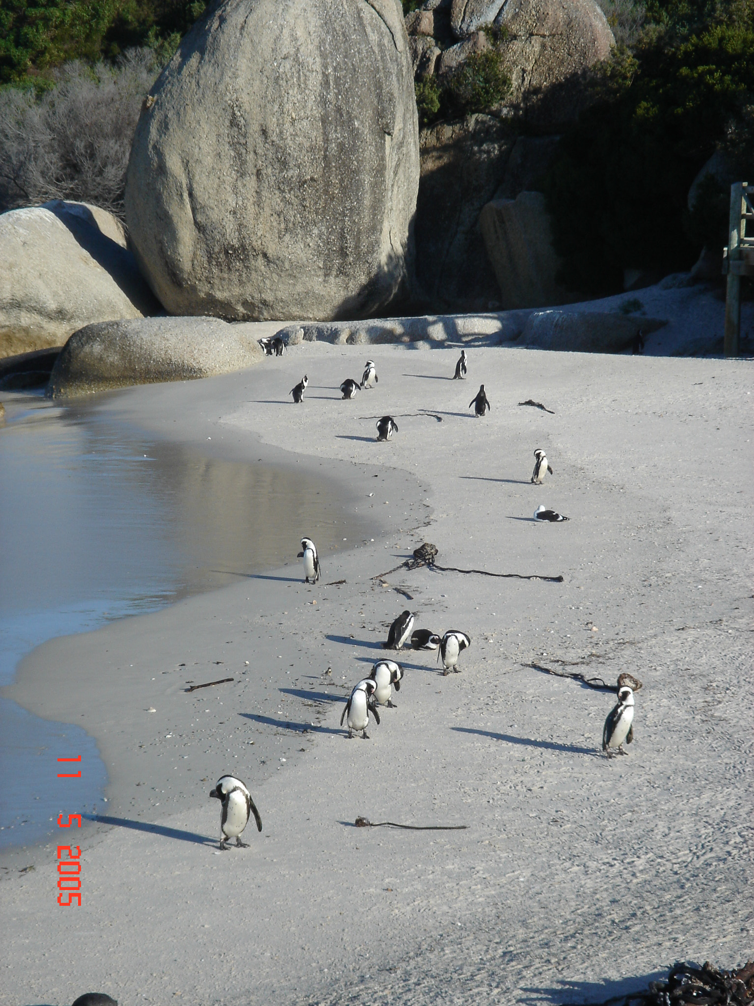 Sony DSC-T3 sample photo. Sudafrica () photography