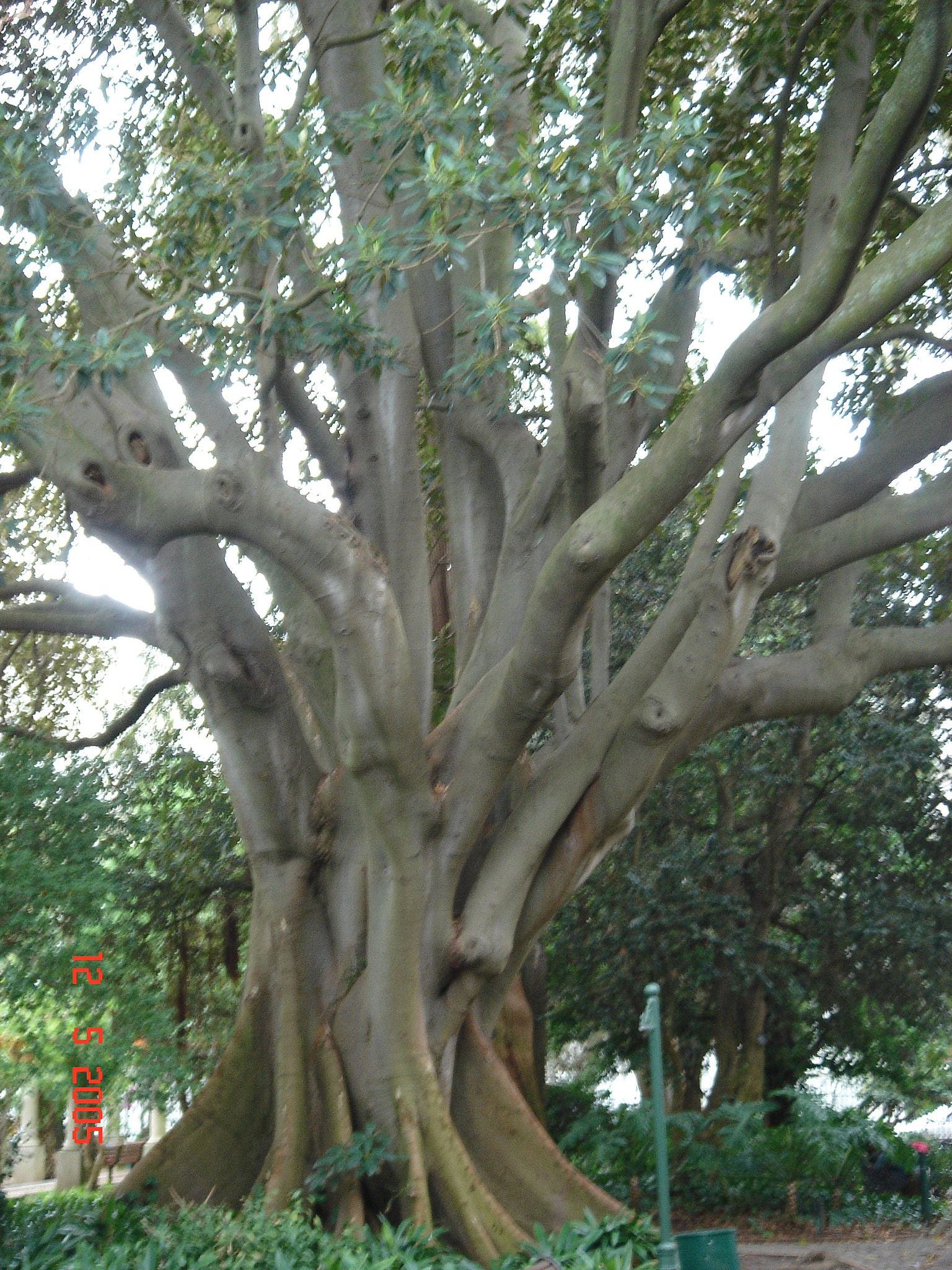 Sony DSC-T3 sample photo. Sudafrica () photography