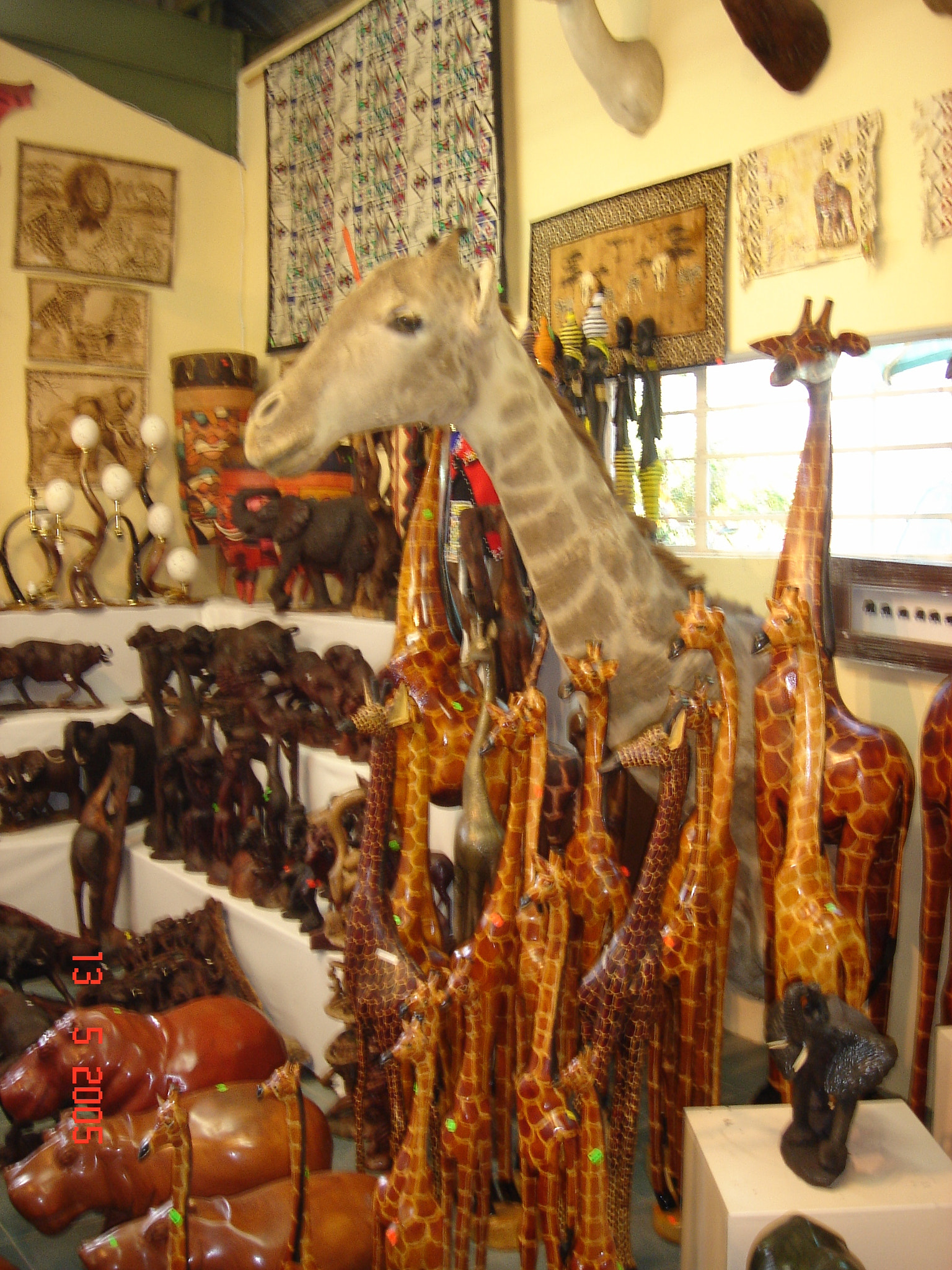 Sony DSC-T3 sample photo. Sudafrica () photography