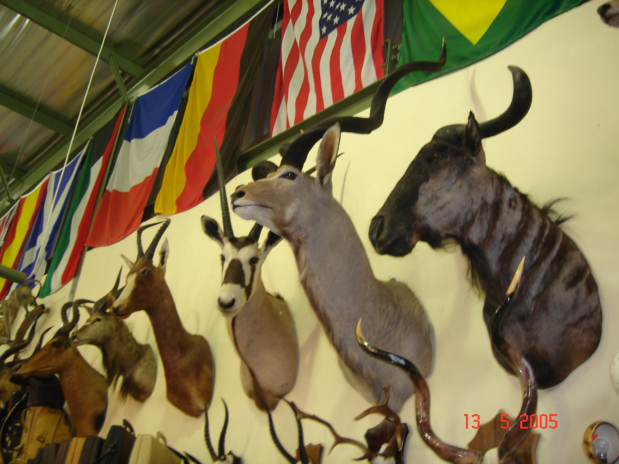 Sony DSC-T3 sample photo. Sudafrica () photography