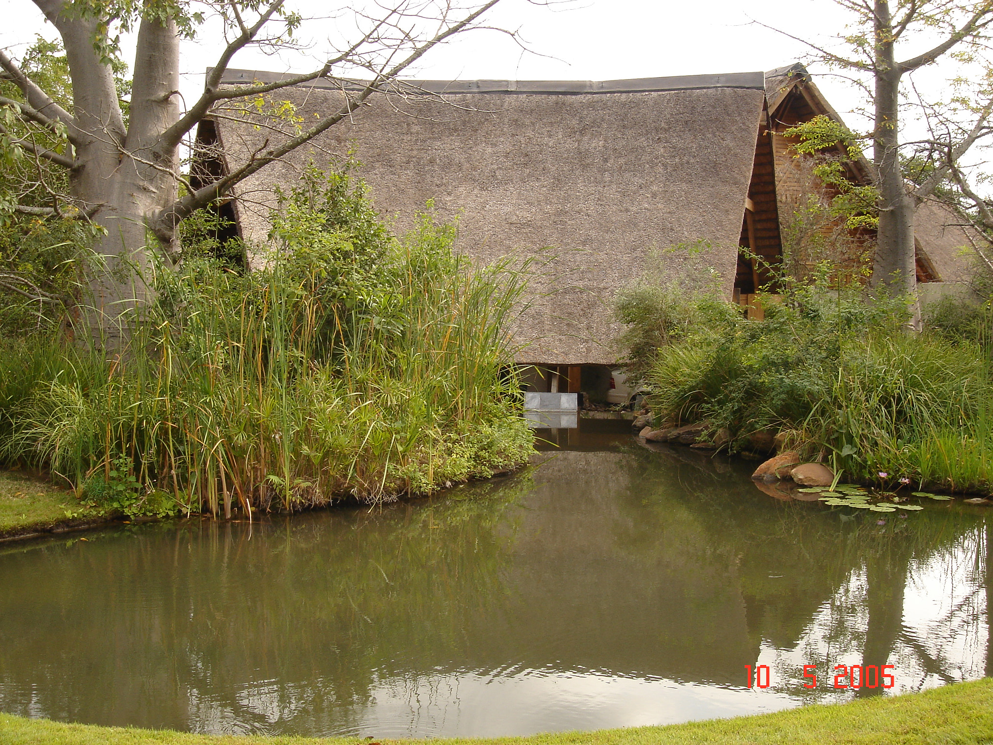 Sony DSC-T3 sample photo. Sudafrica () photography