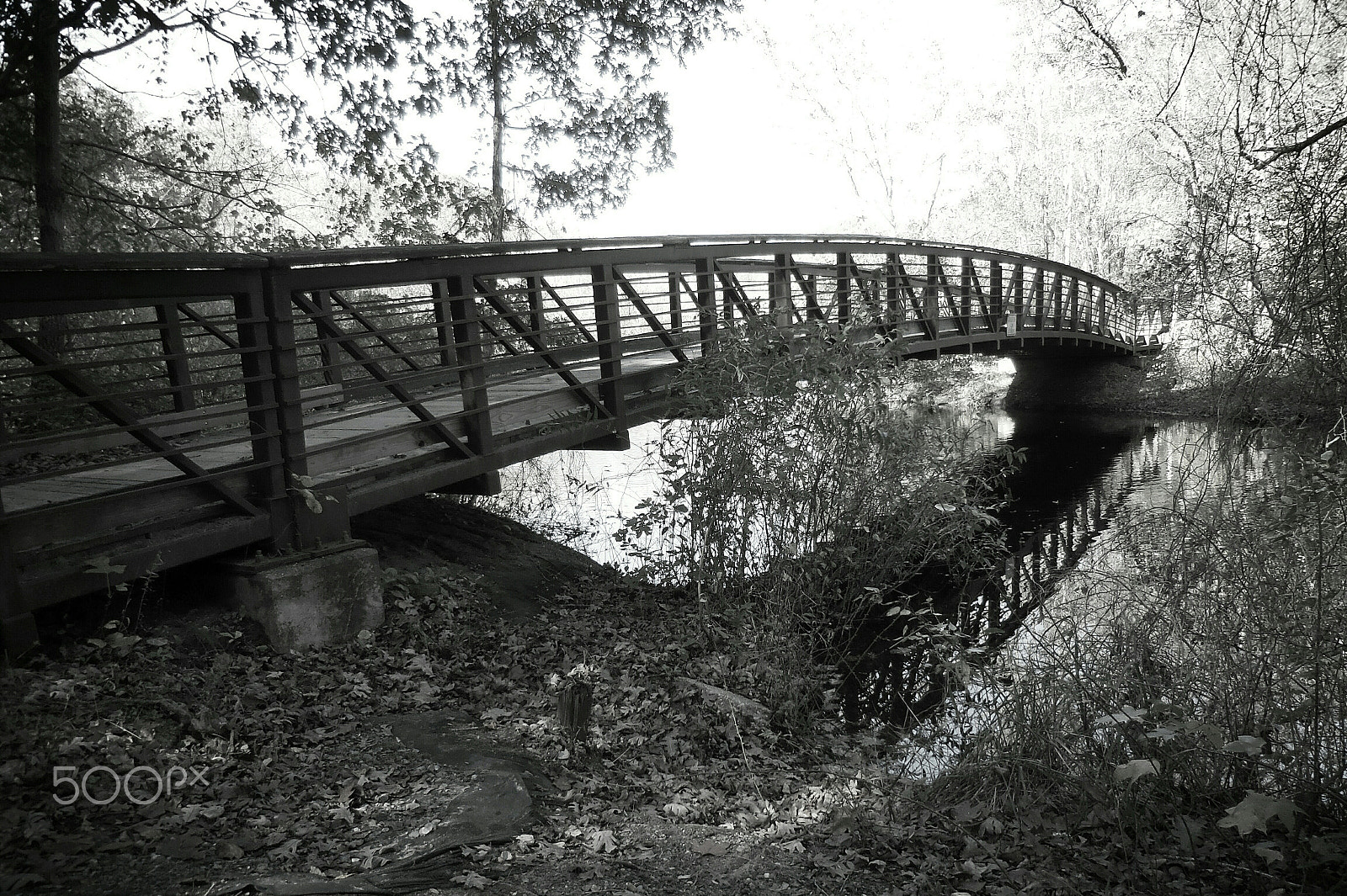 Nikon Coolpix S6800 sample photo. Crossing the creek photography